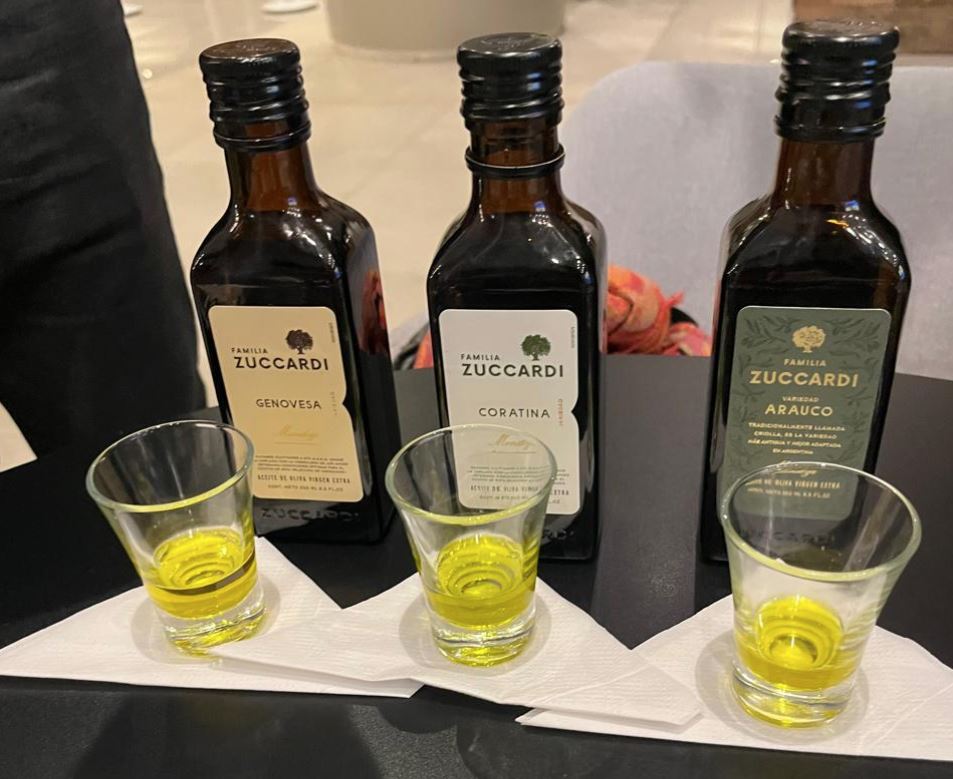 Os Sentidos e o Mundo do Vinho