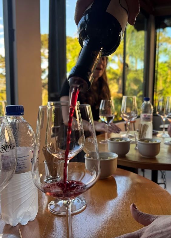 Vino, formaggio e Emozione2