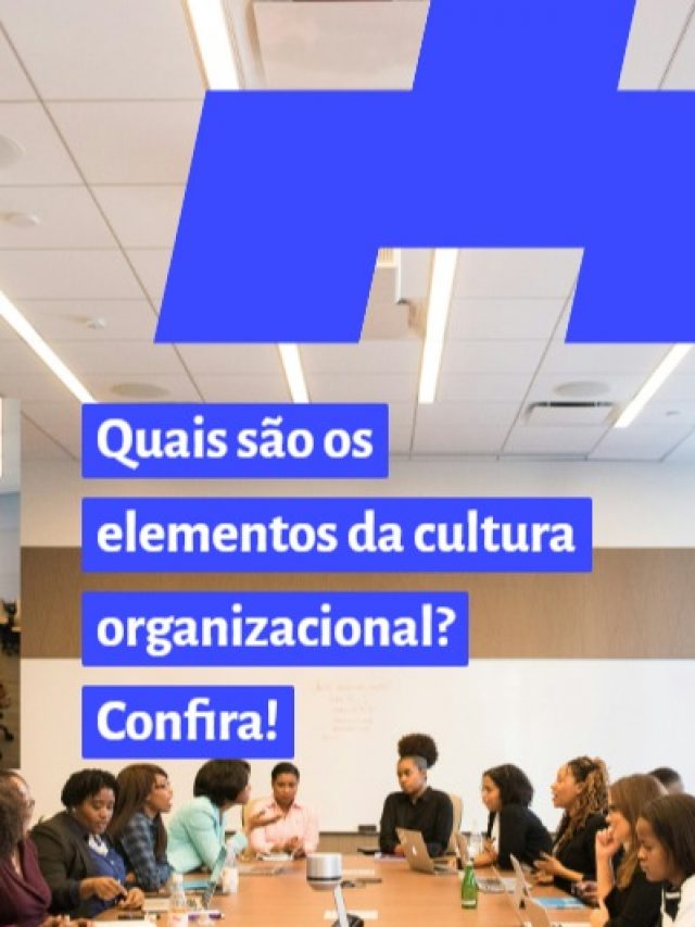elementos da cultura organizacional