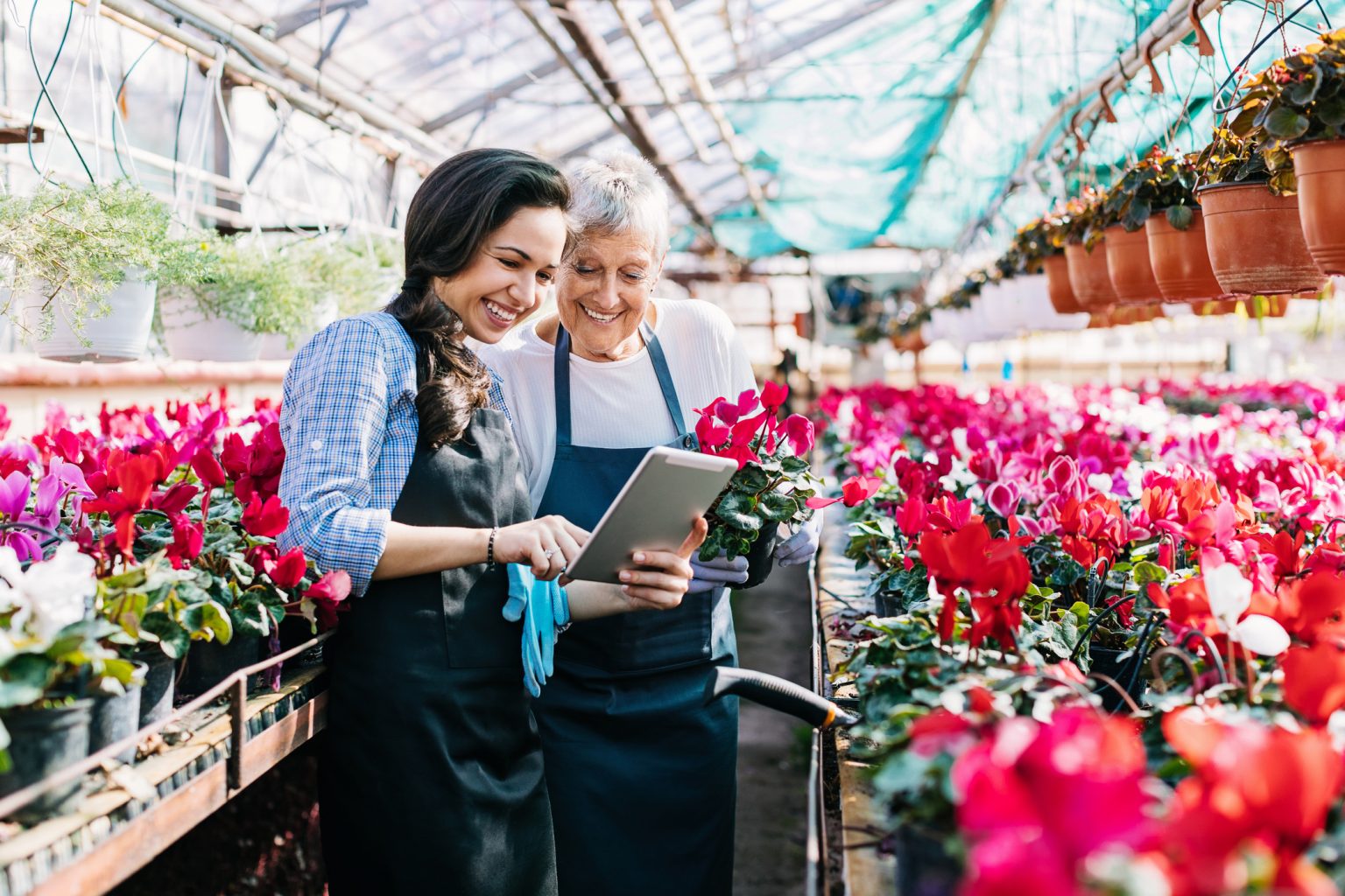 Emprendedores lendo conteúdo do Sebrae no Tablet. Jardineiros de diferentes gerações com tablet digital no viveiro de flores
