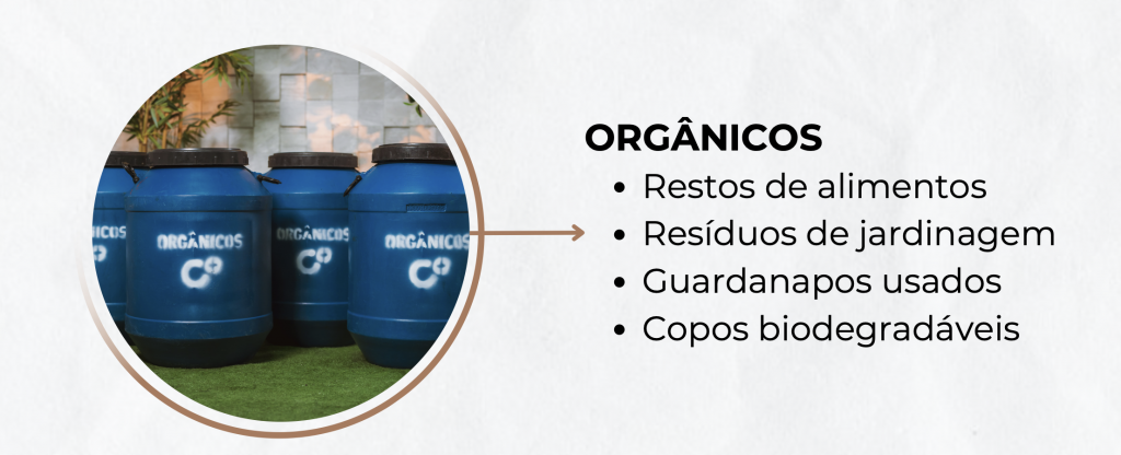 Sebrae/PR | Sustentabilidade na Feira | Captura de Tela 2024 09 24 as 16.31.29