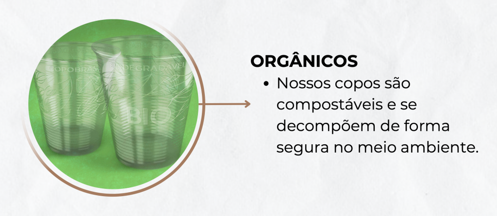 Sebrae/PR | Sustentabilidade na Feira | Captura de Tela 2024 09 24 as 16.34.24