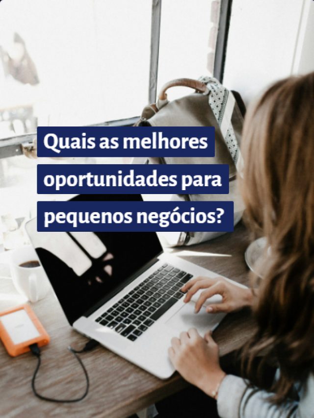 Quais as melhores oportunidades para pequenos negócios?