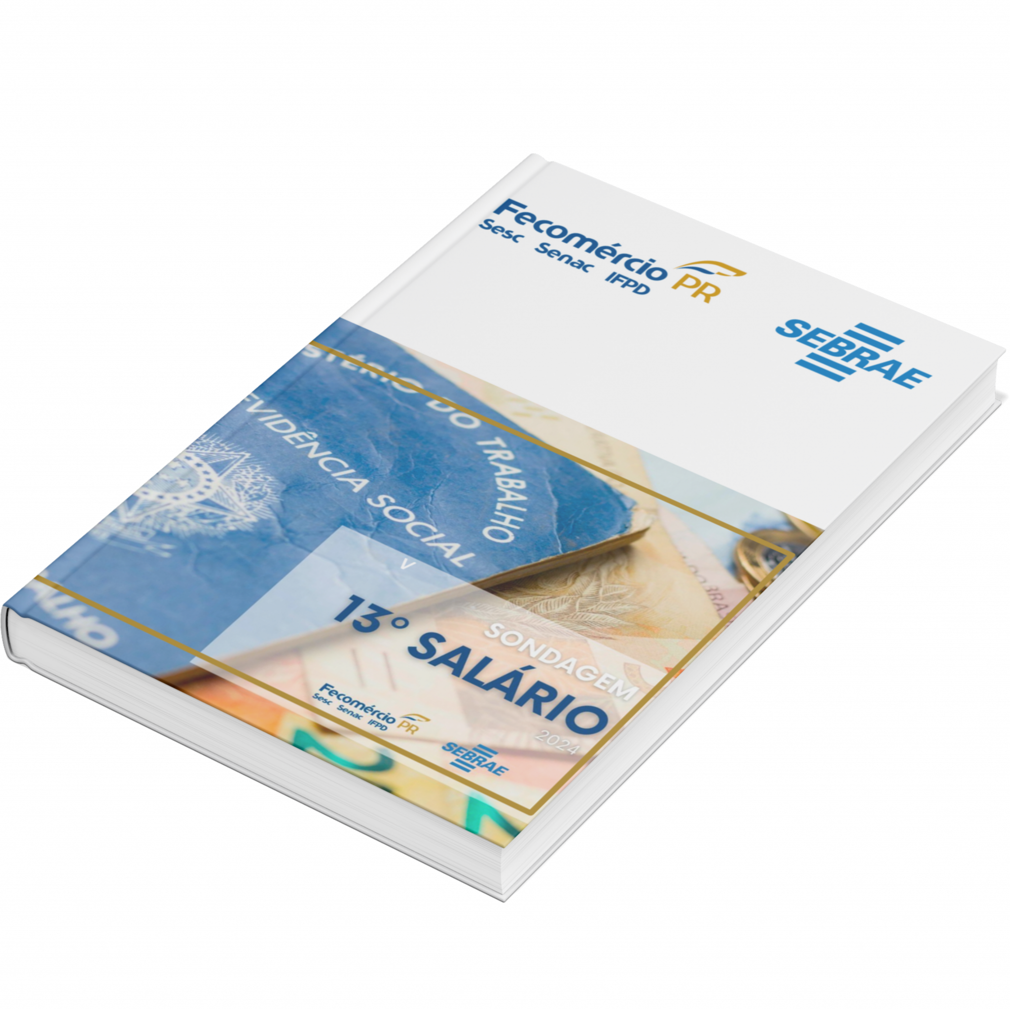 Sebrae/PR | Publicações | 13°