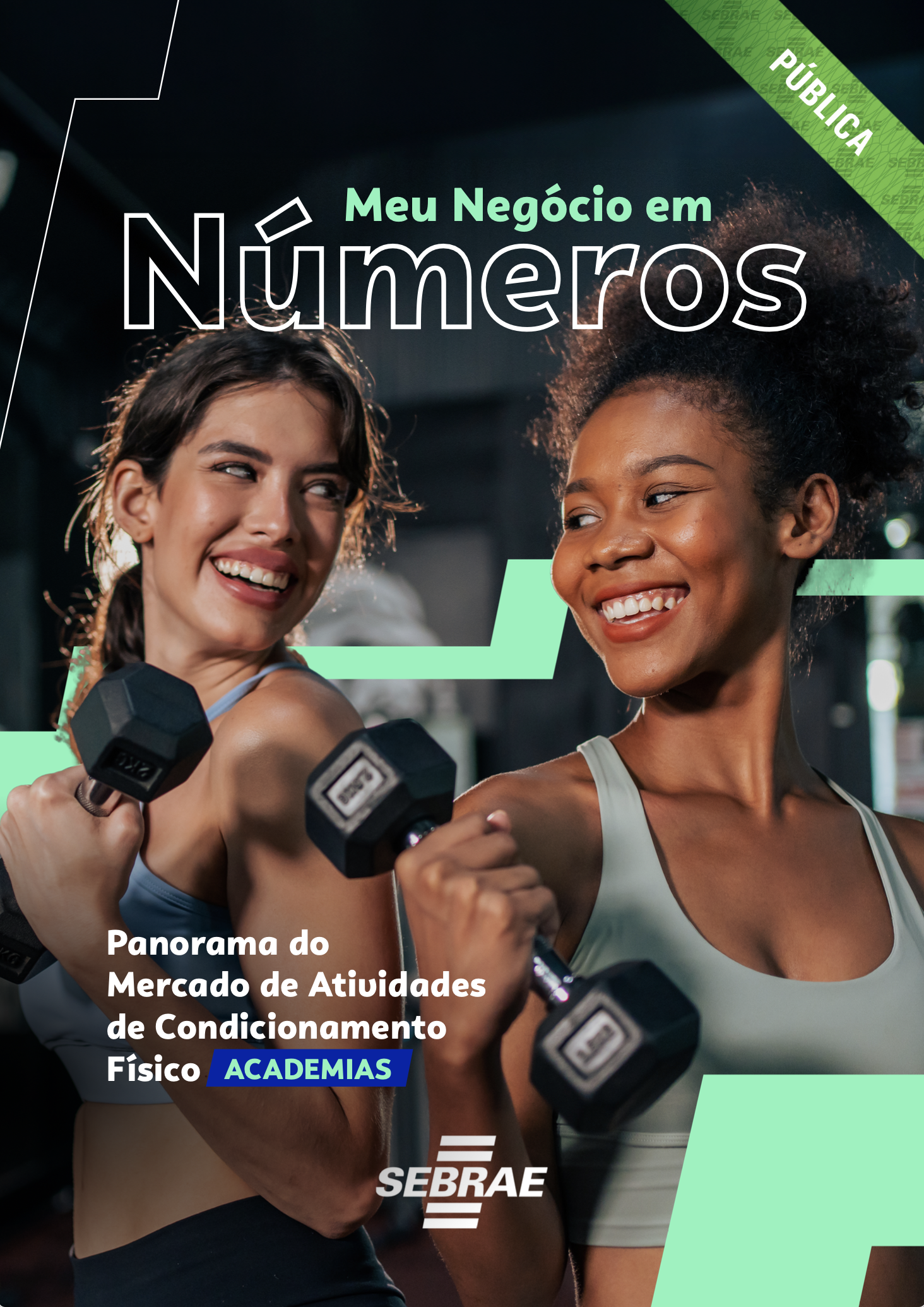 Sebrae/PR | Publicações | Captura de Tela 2024 11 25 as 15.47.08