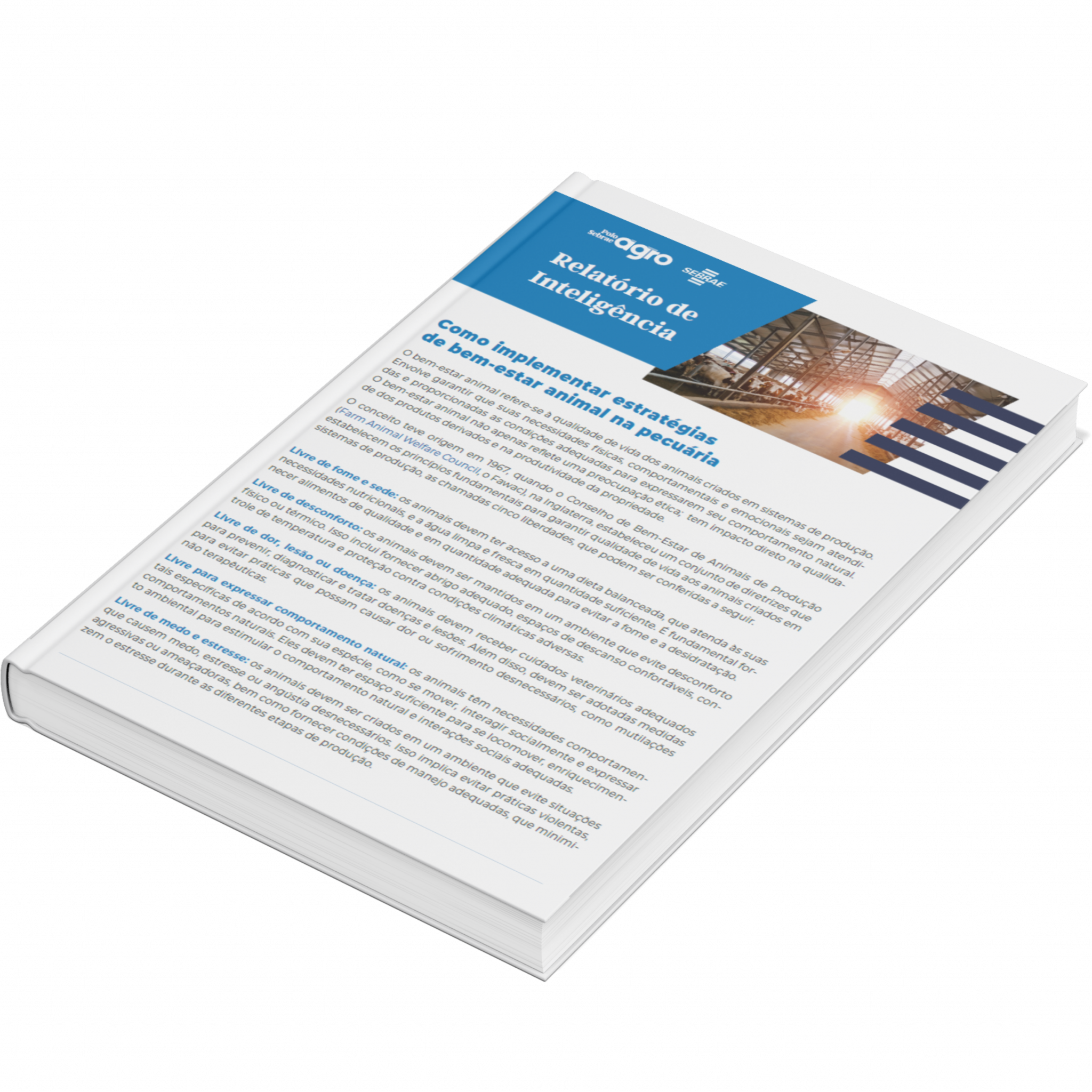 Sebrae/PR | Publicações | Design sem nome 1 10