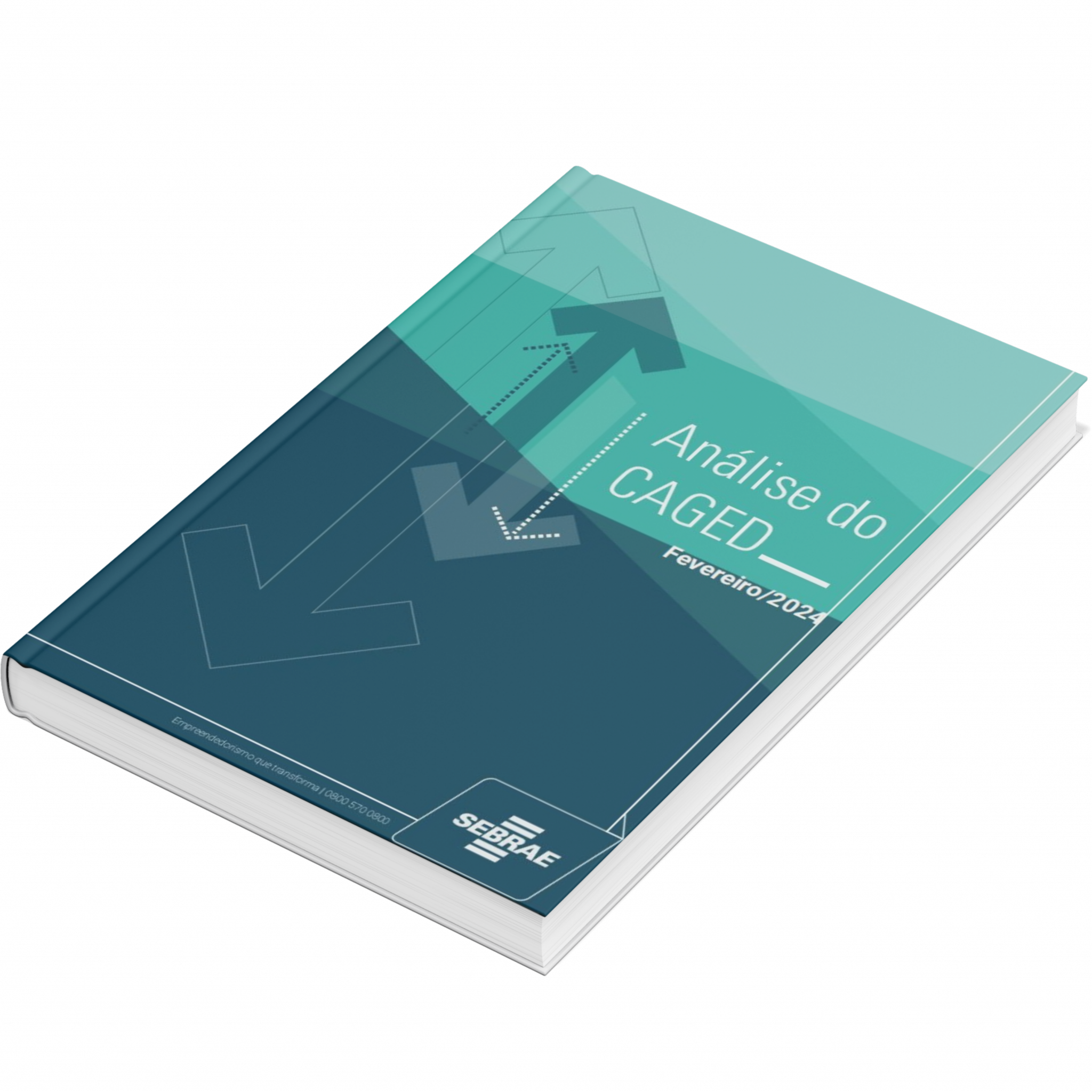 Sebrae/PR | Publicações | Design sem nome 1 5
