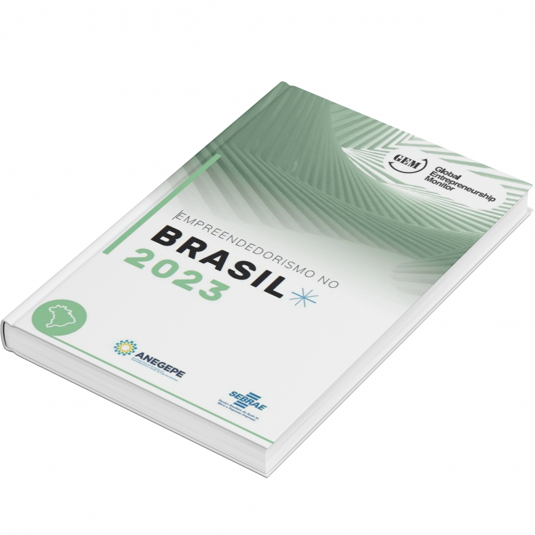 Sebrae/PR | Publicações | Design sem nome 1 7