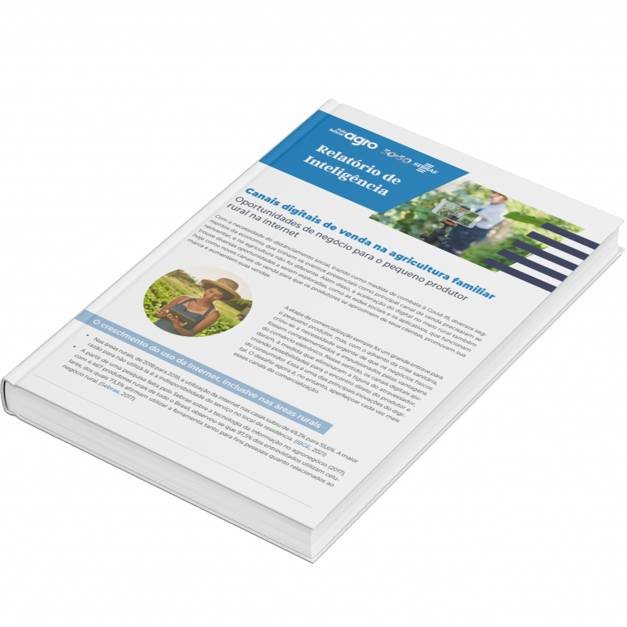 Sebrae/PR | Publicações | Design sem nome 10 1