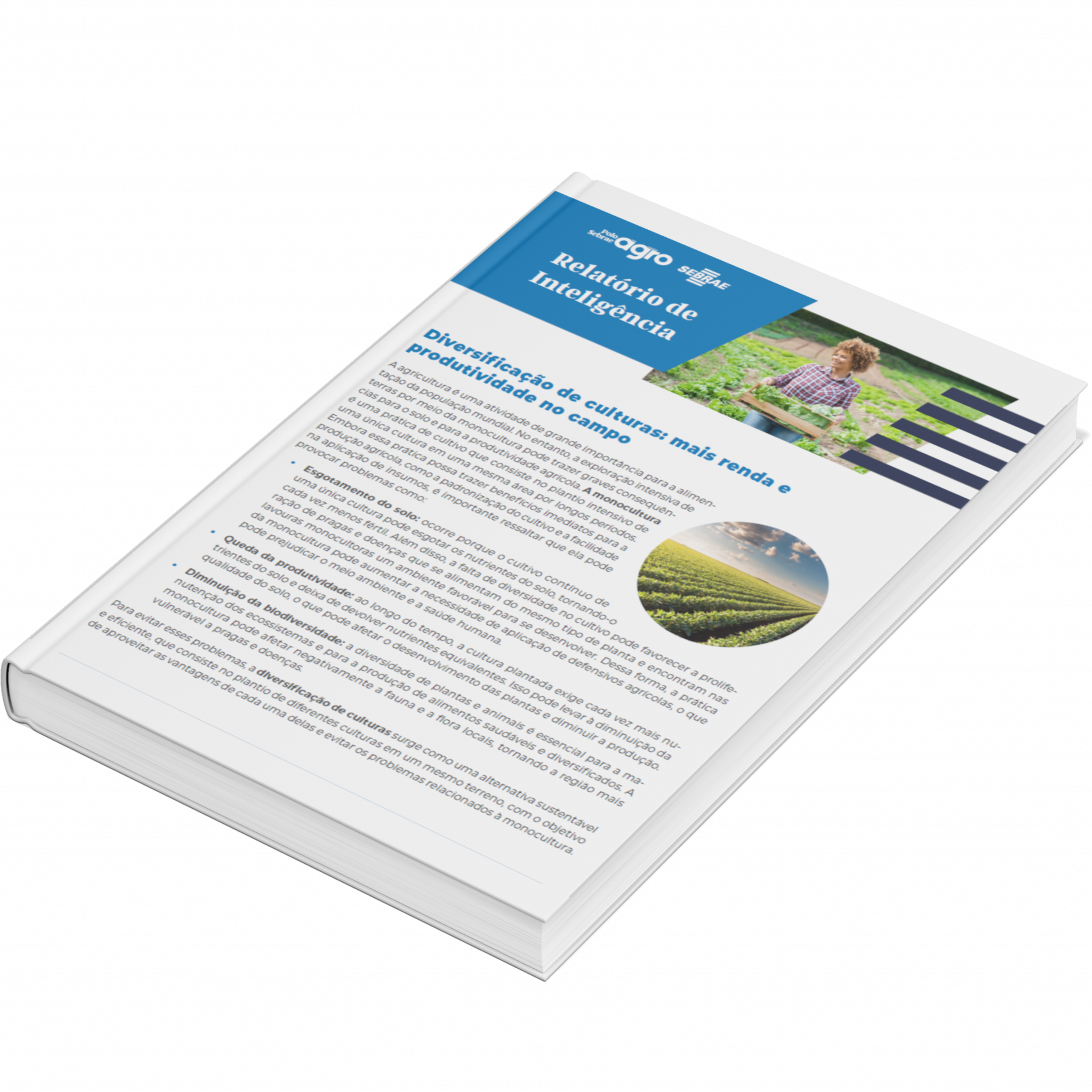 Sebrae/PR | Publicações | Design sem nome 10 2