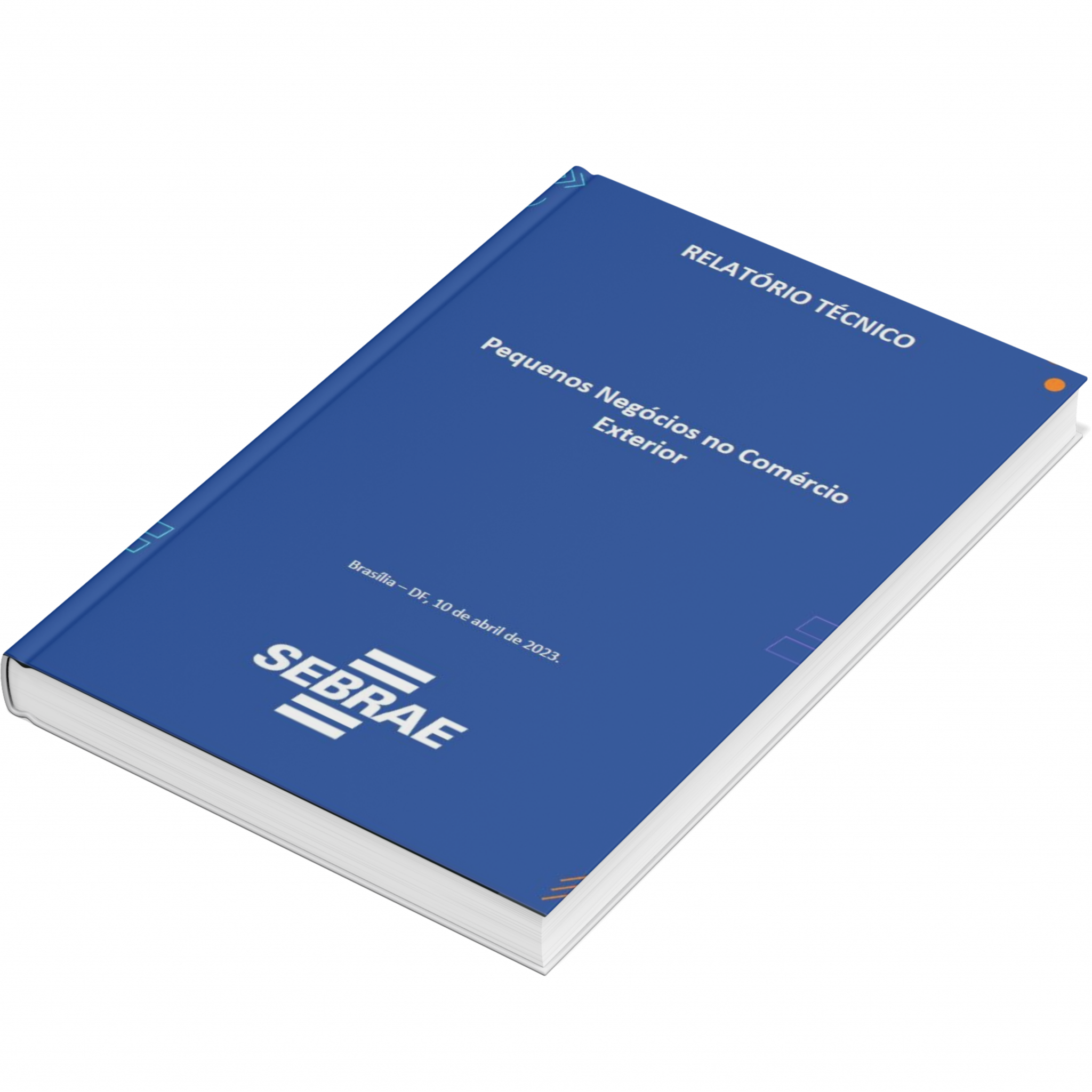 Sebrae/PR | Publicações | Design sem nome 10