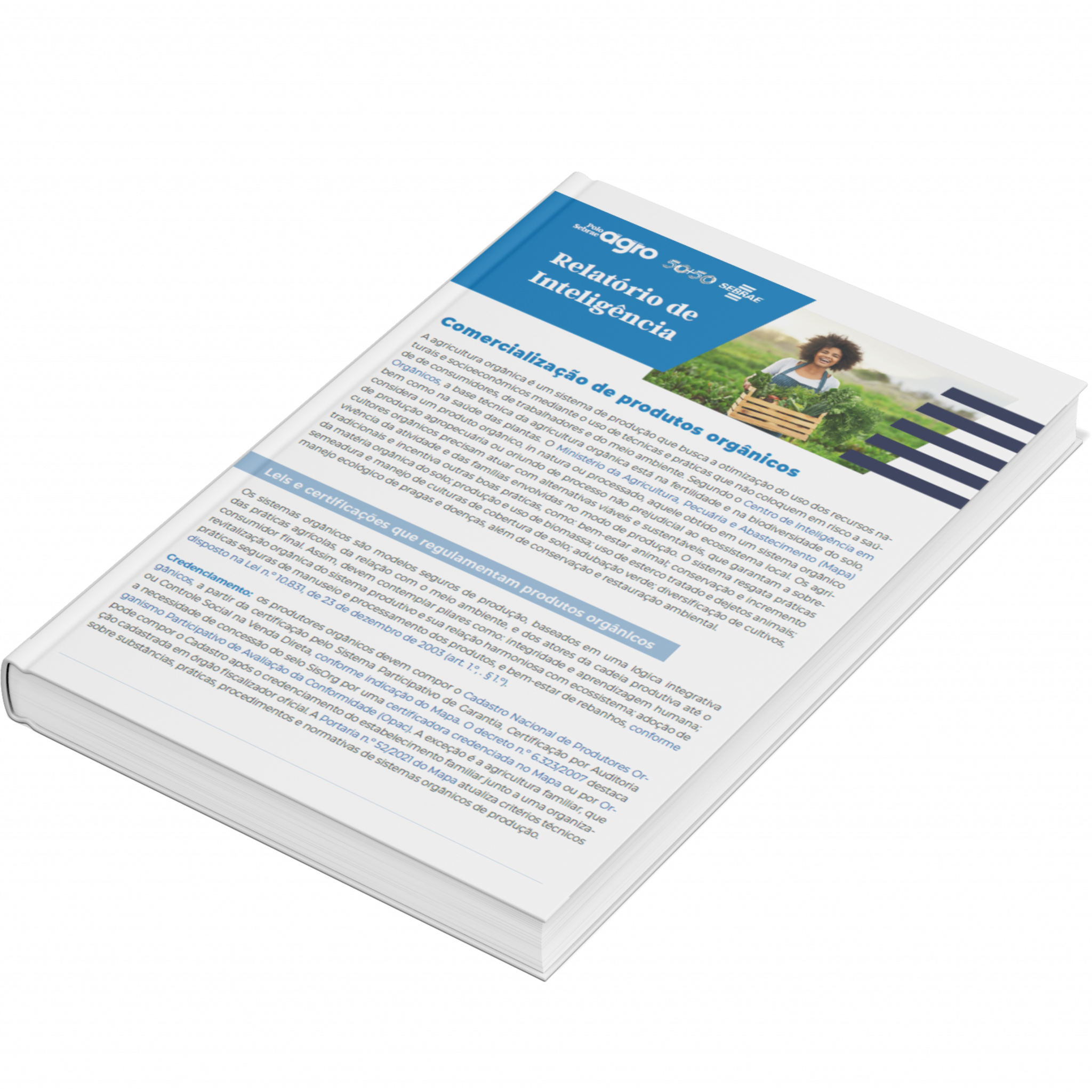 Sebrae/PR | Publicações | Design sem nome 11 1