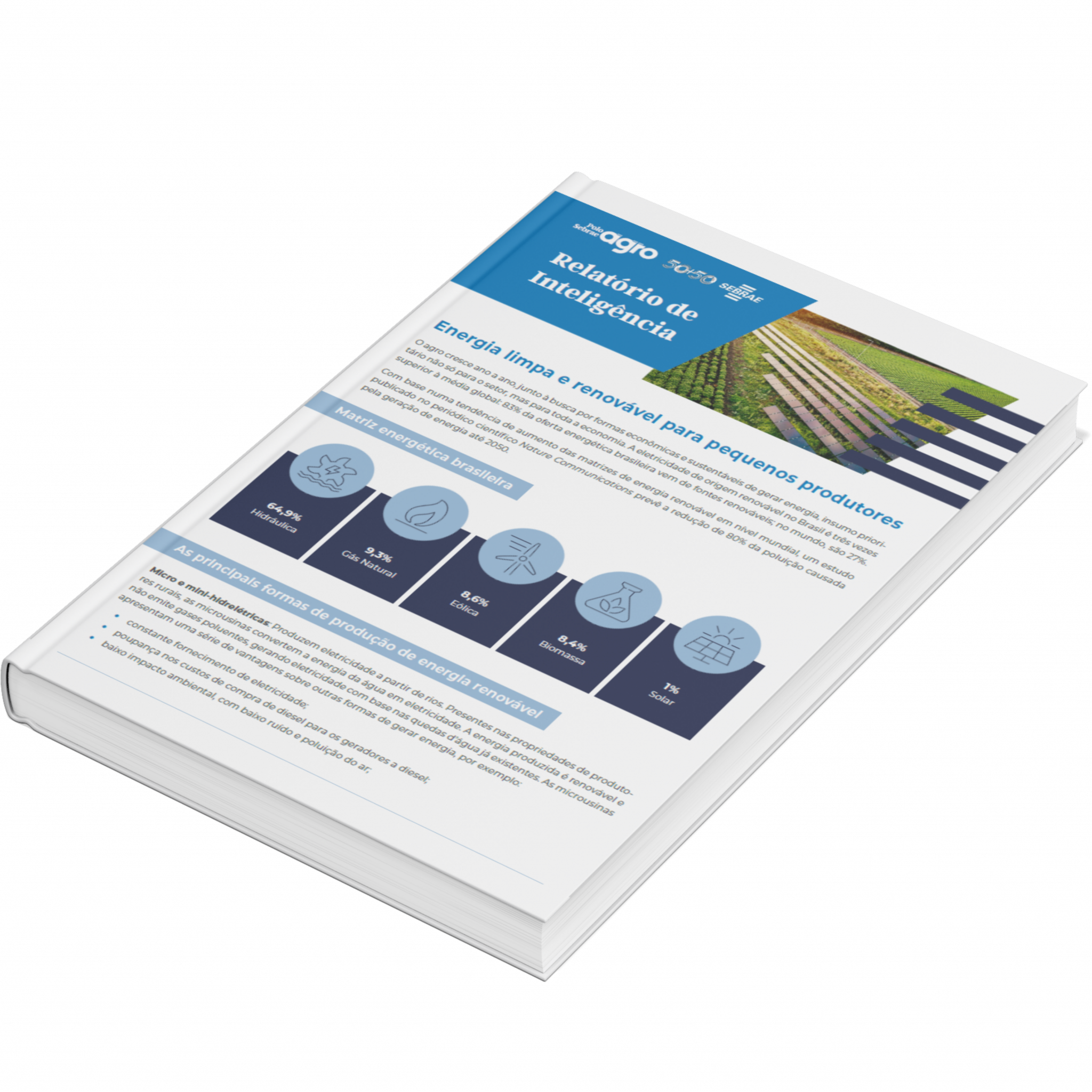 Sebrae/PR | Publicações | Design sem nome 11 2