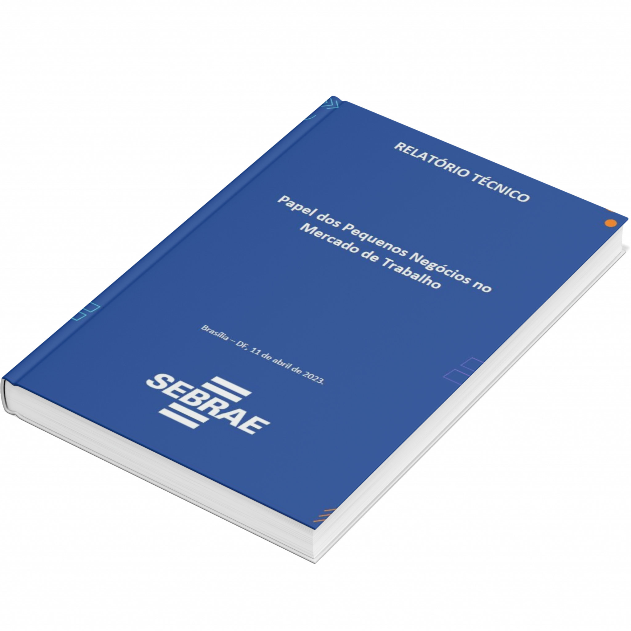 Sebrae/PR | Publicações | Design sem nome 11