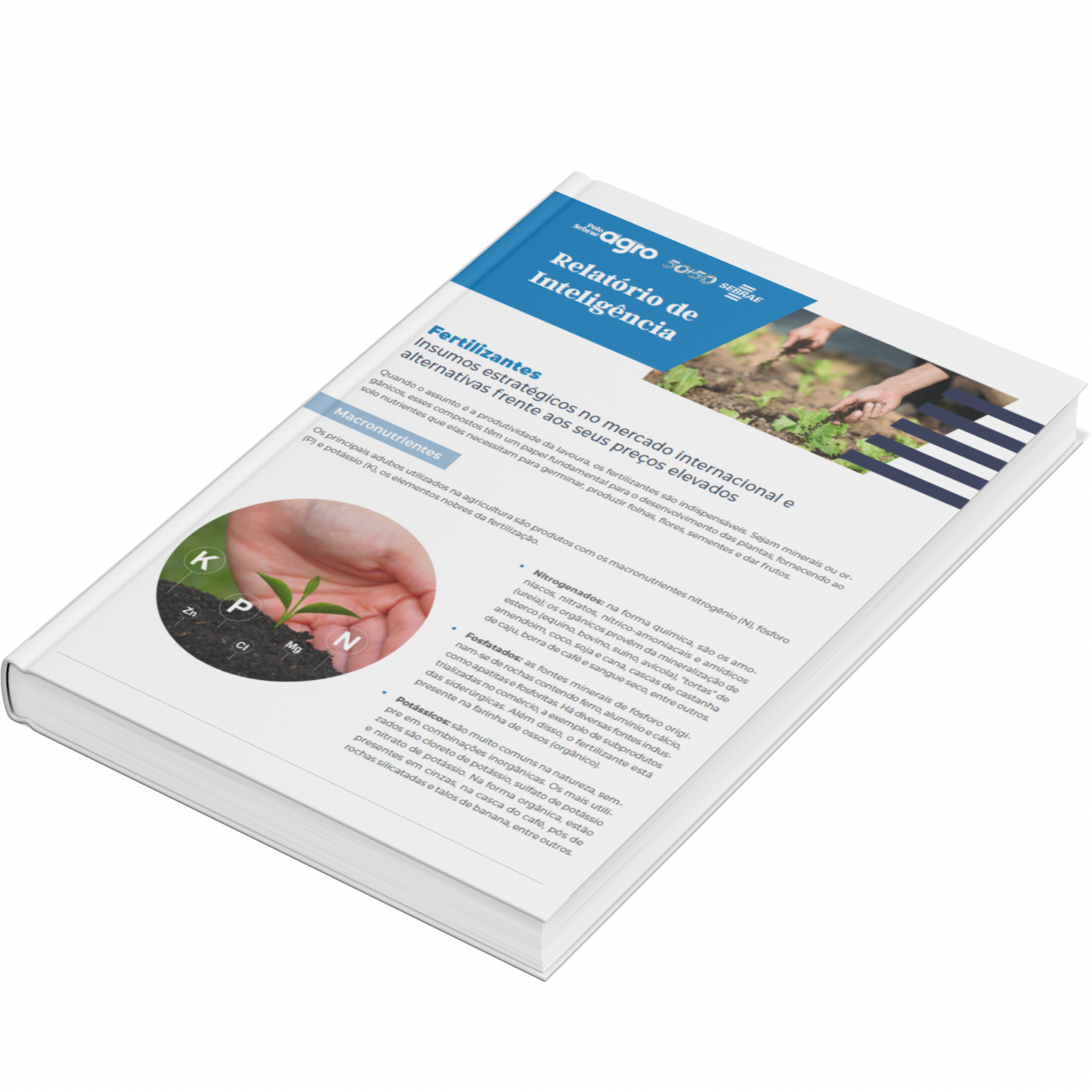 Sebrae/PR | Publicações | Design sem nome 13 1