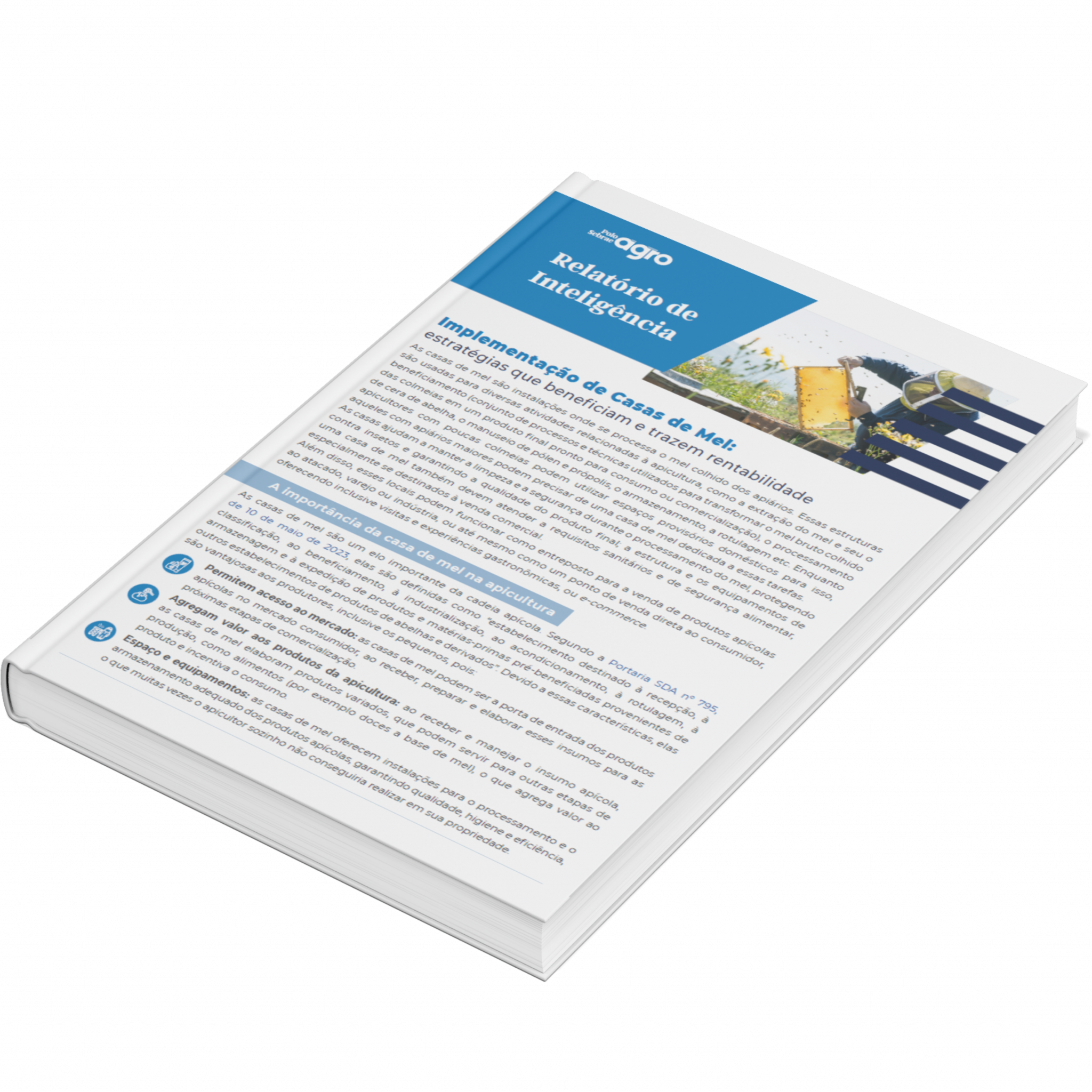 Sebrae/PR | Publicações | Design sem nome 15 1