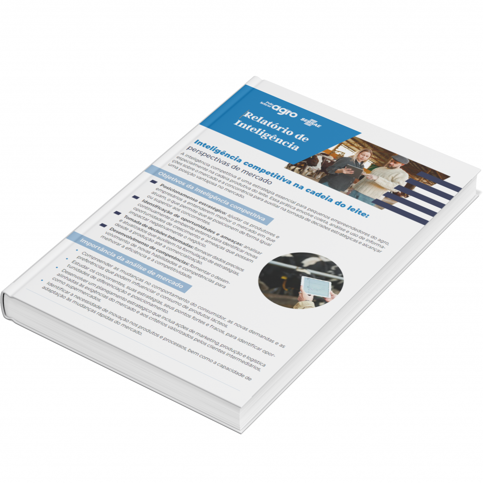 Sebrae/PR | Publicações | Design sem nome 16 1