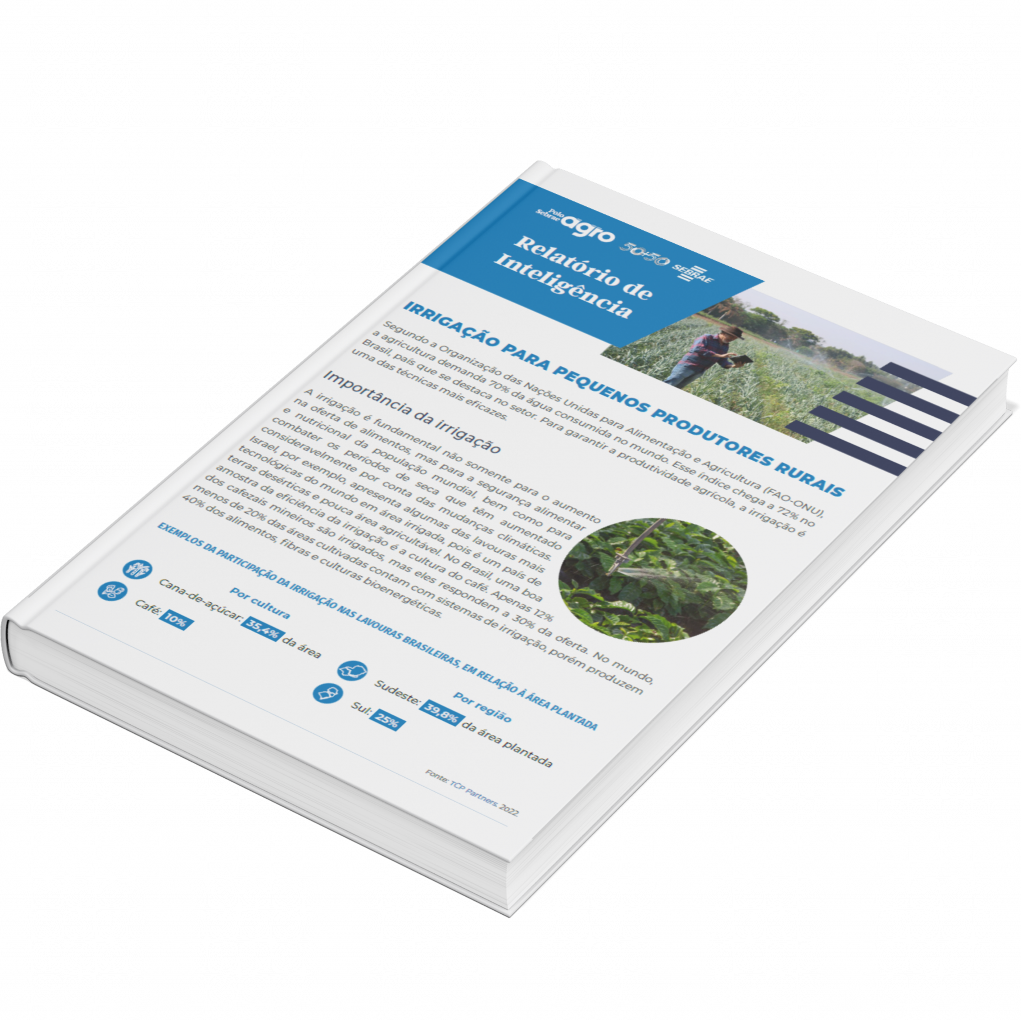 Sebrae/PR | Publicações | Design sem nome 17 1