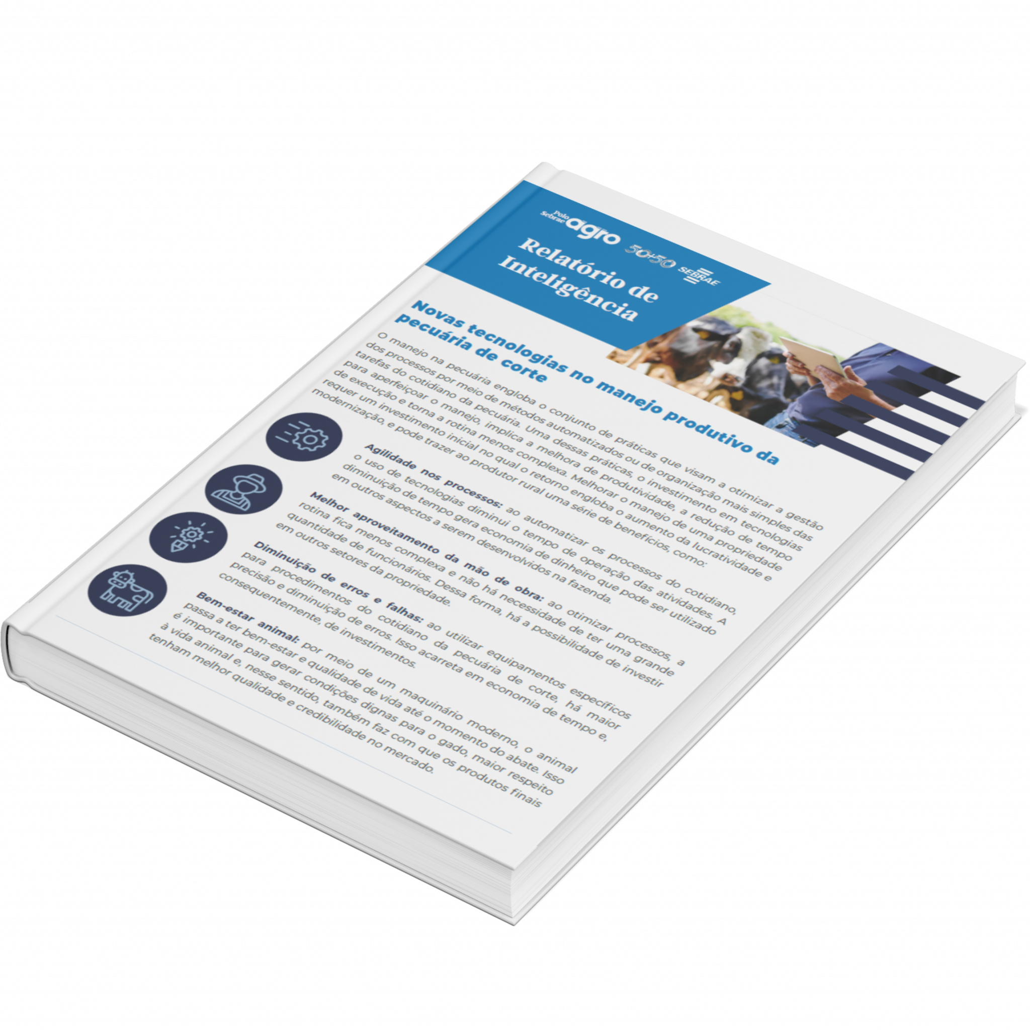 Sebrae/PR | Publicações | Design sem nome 19 1