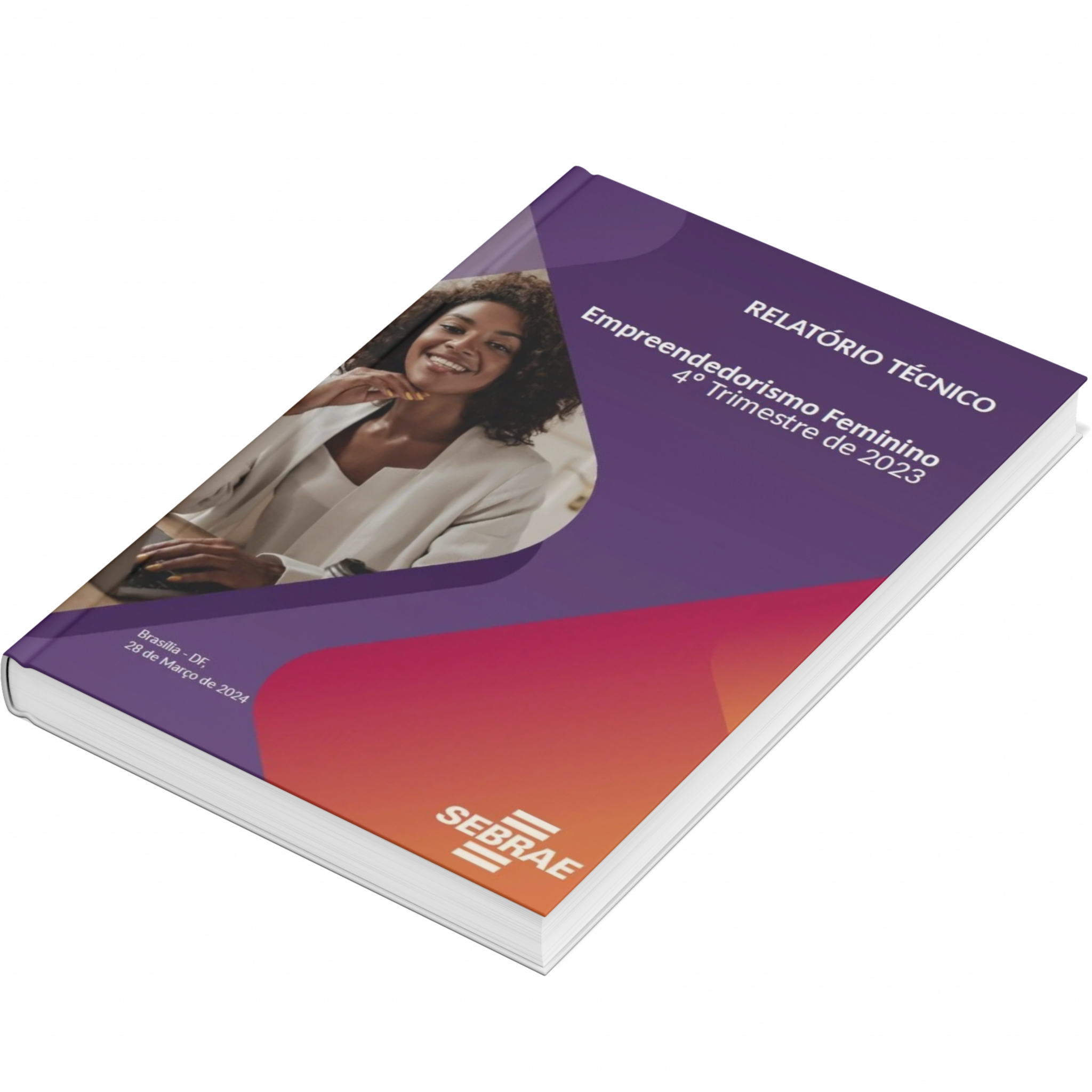 Sebrae/PR | Publicações | Design sem nome 19