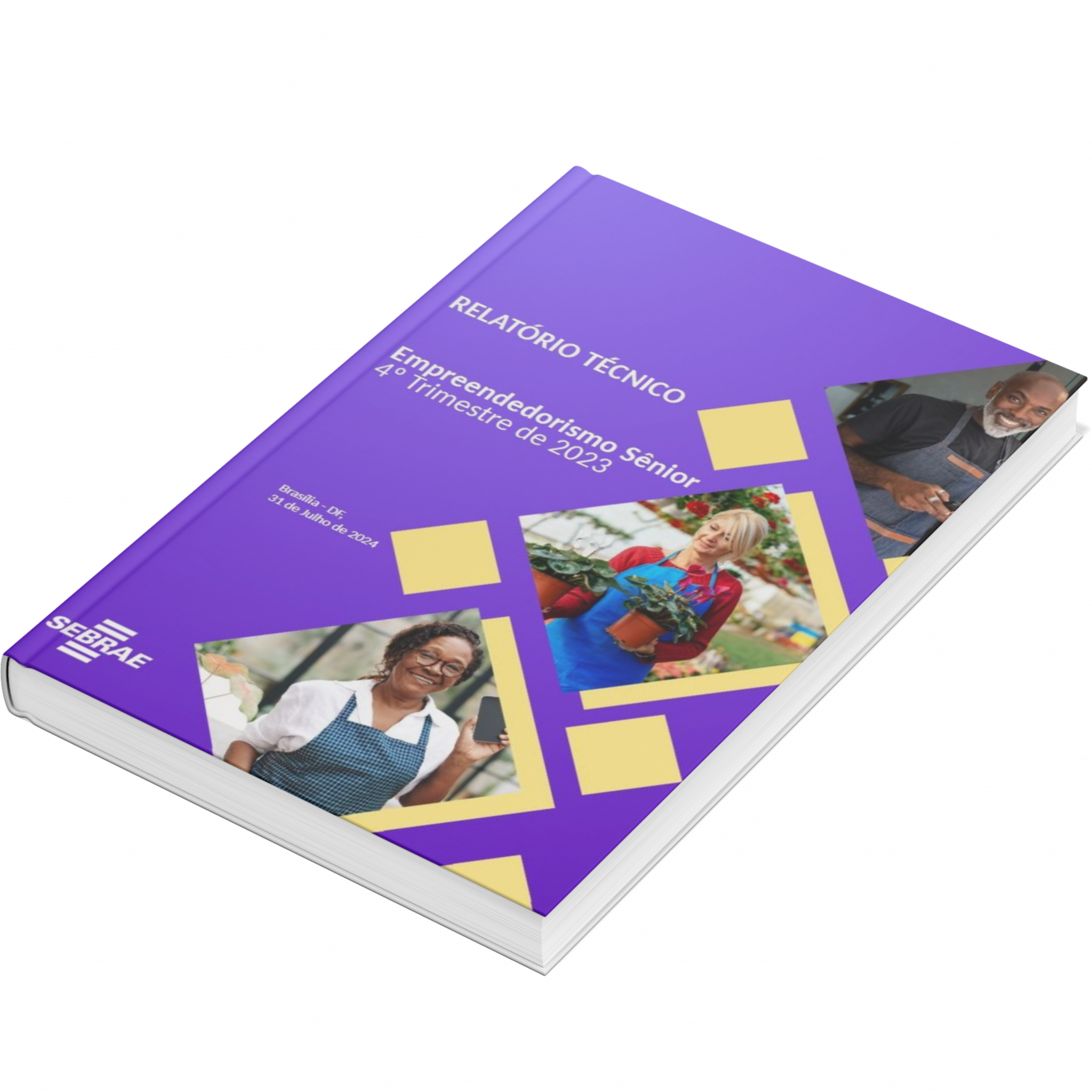 Sebrae/PR | Publicações | Design sem nome 2 3