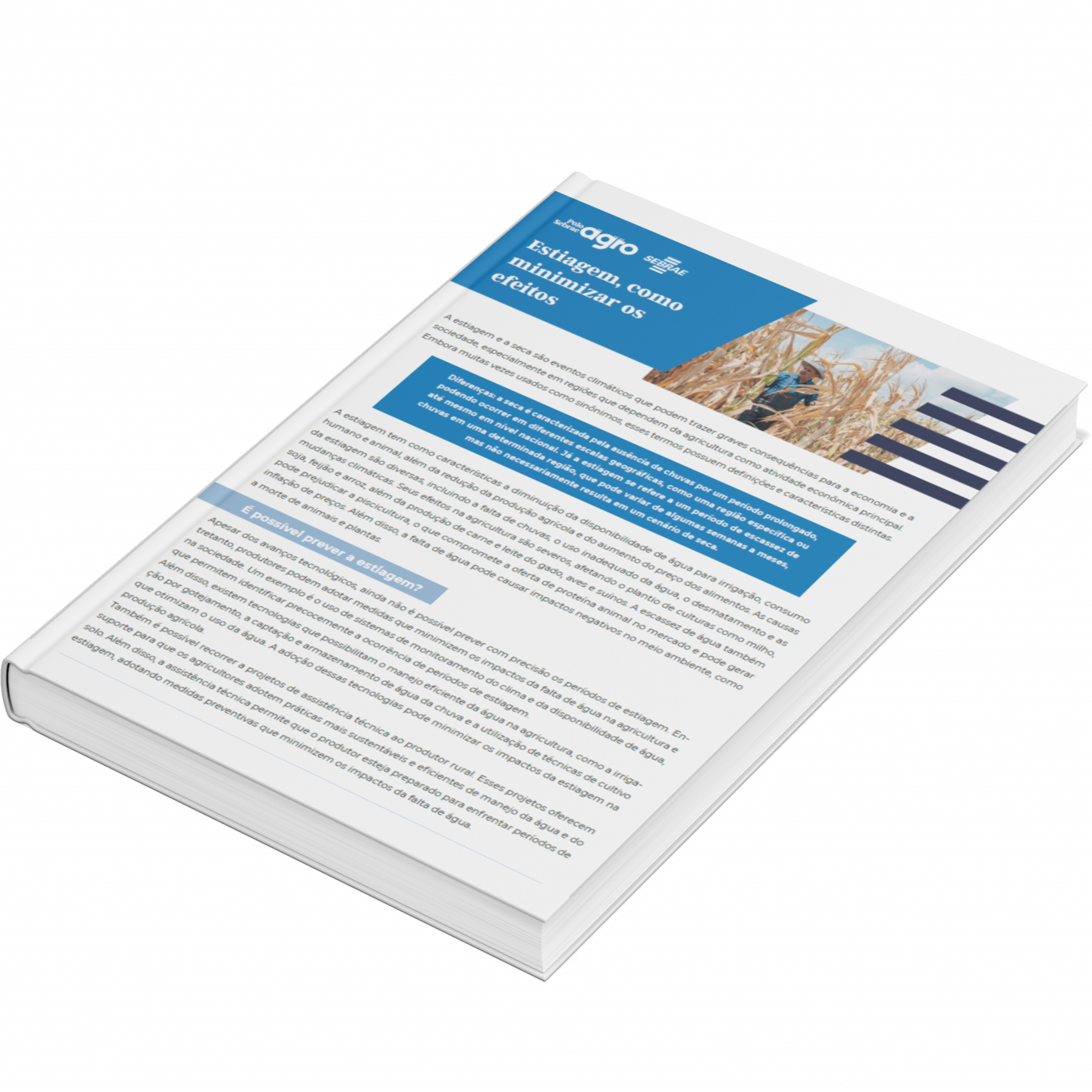 Sebrae/PR | Publicações | Design sem nome 2 6