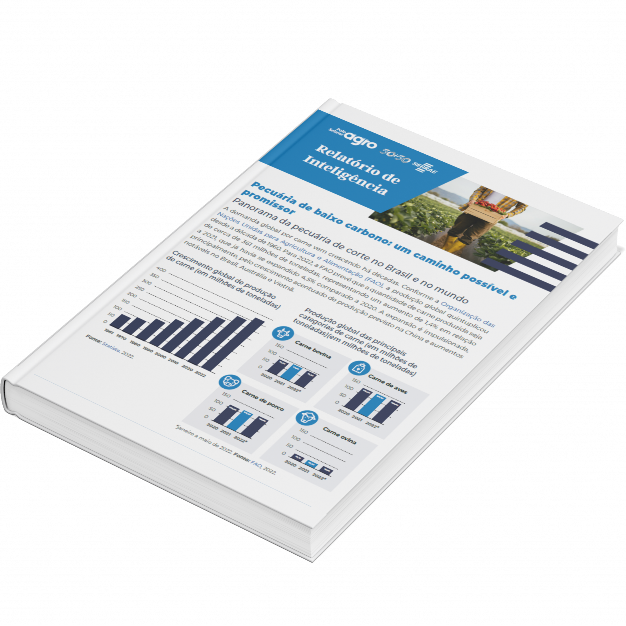 Sebrae/PR | Publicações | Design sem nome 2 7