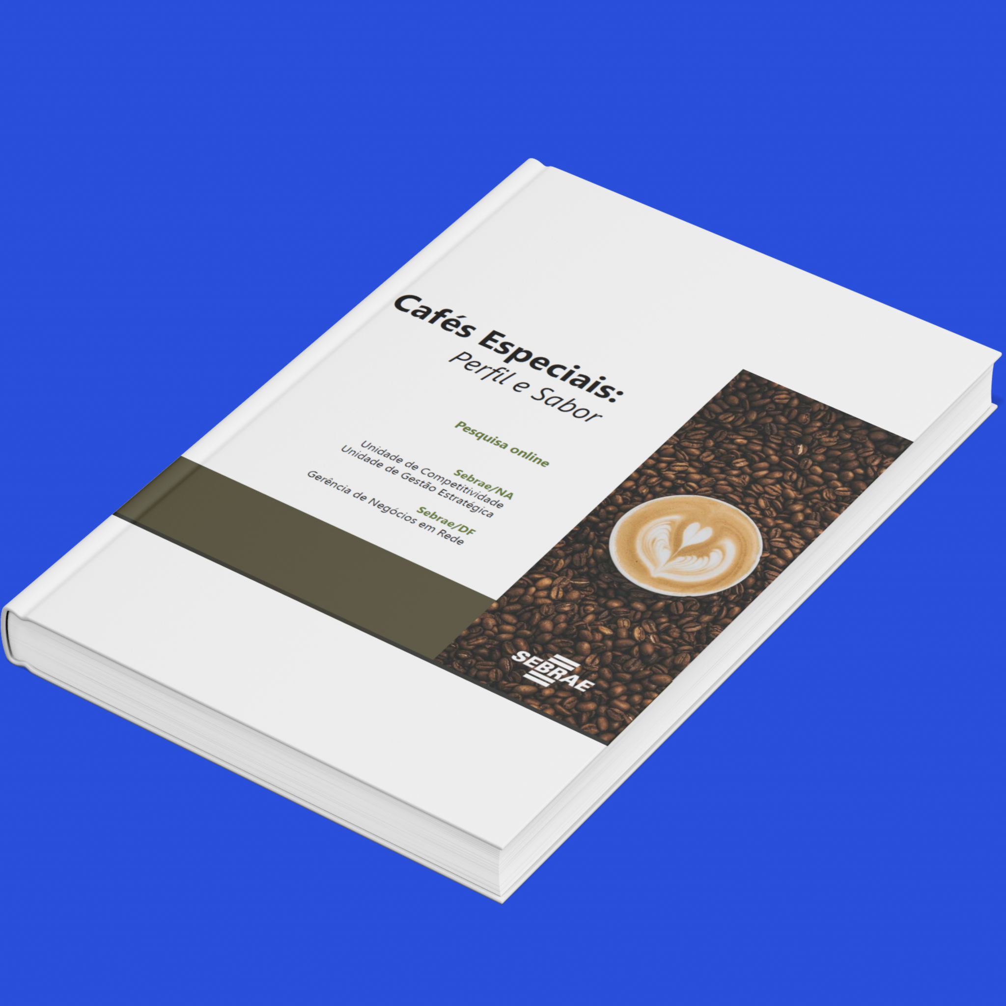 Sebrae/PR | Publicações | Design sem nome 21