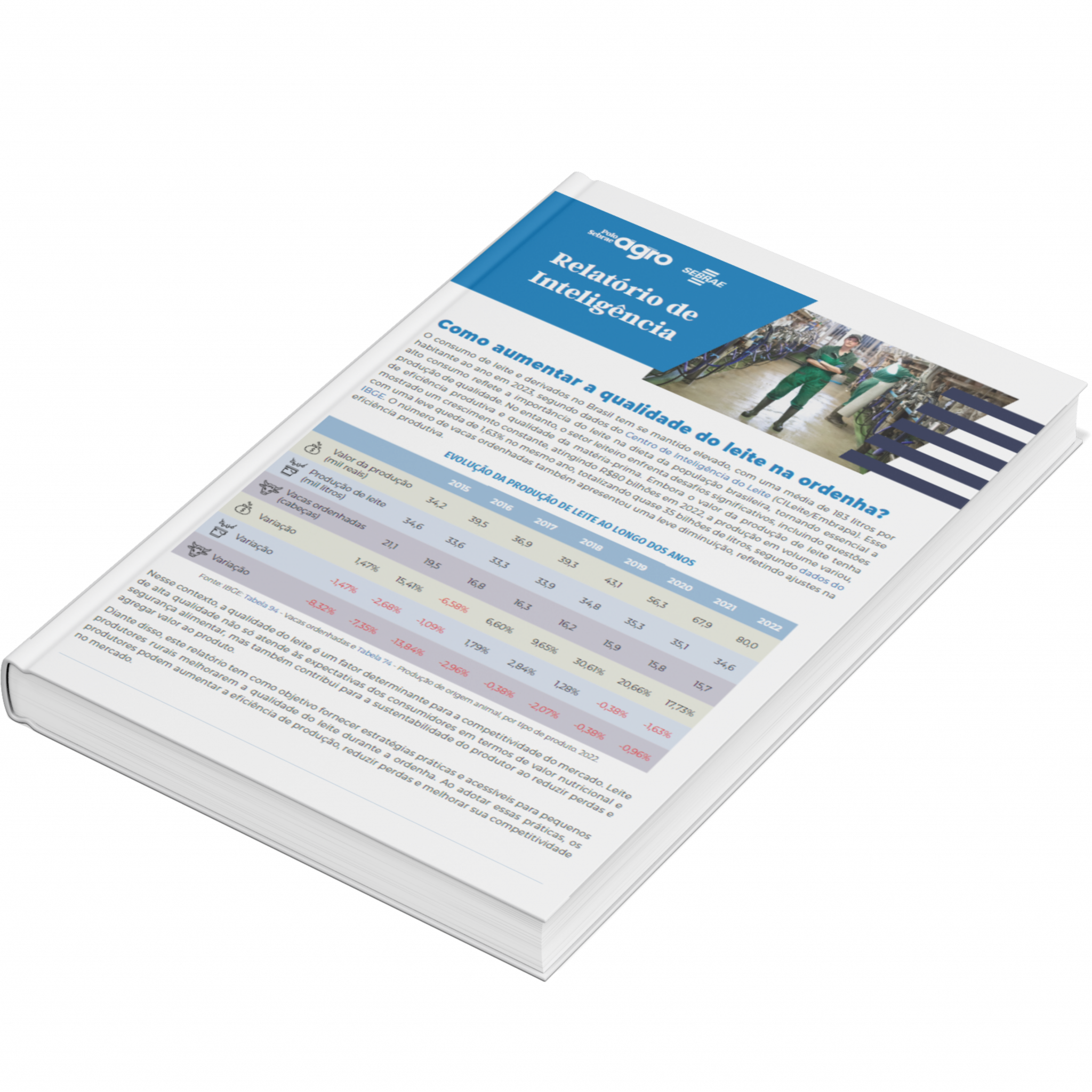 Sebrae/PR | Publicações | Design sem nome 22