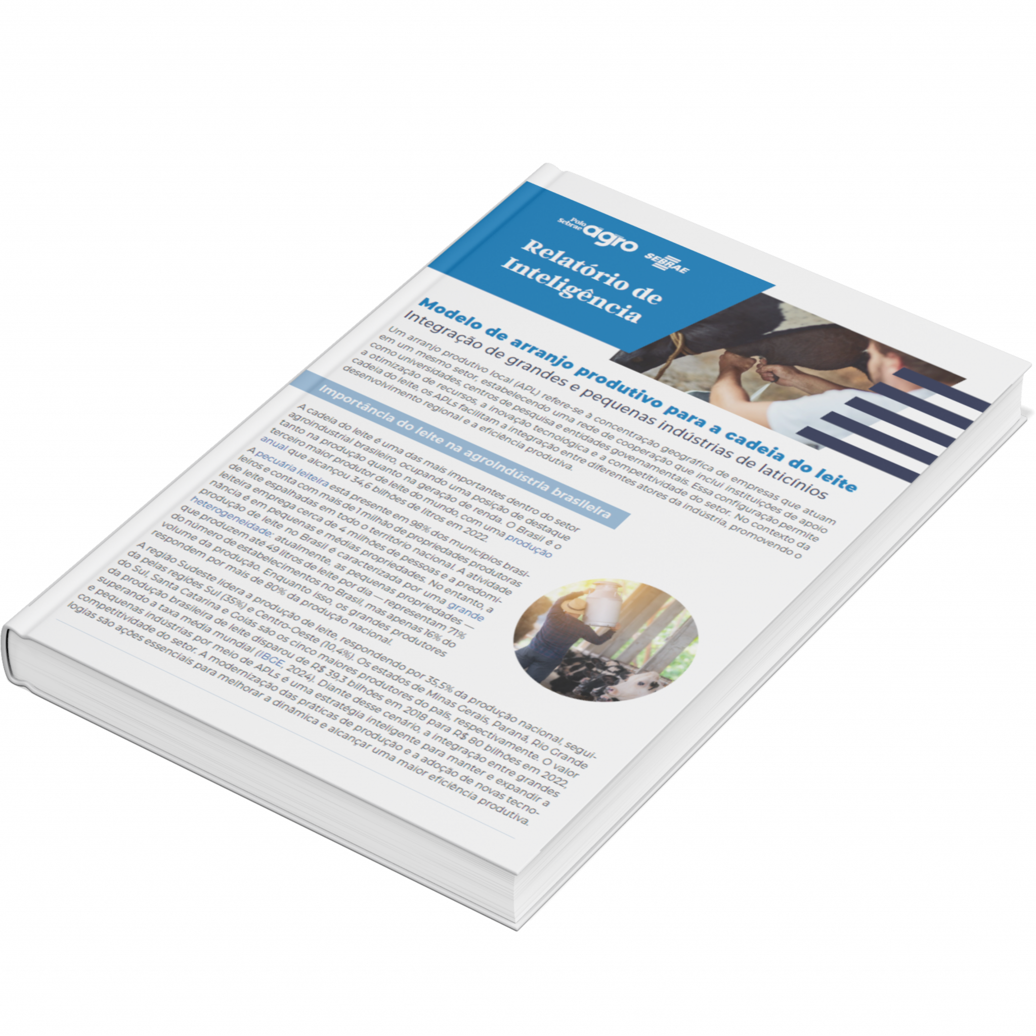 Sebrae/PR | Publicações | Design sem nome 23