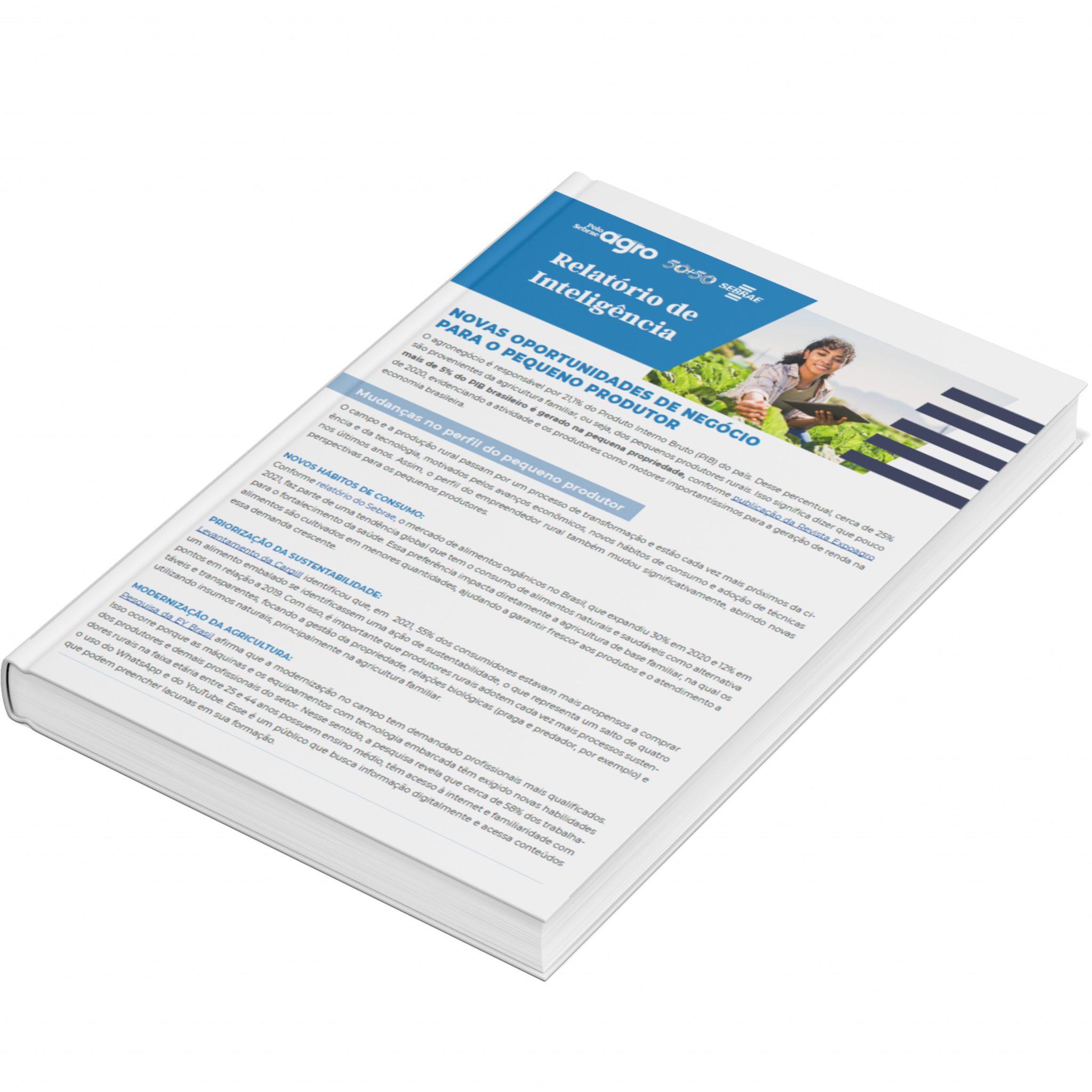 Sebrae/PR | Publicações | Design sem nome 24