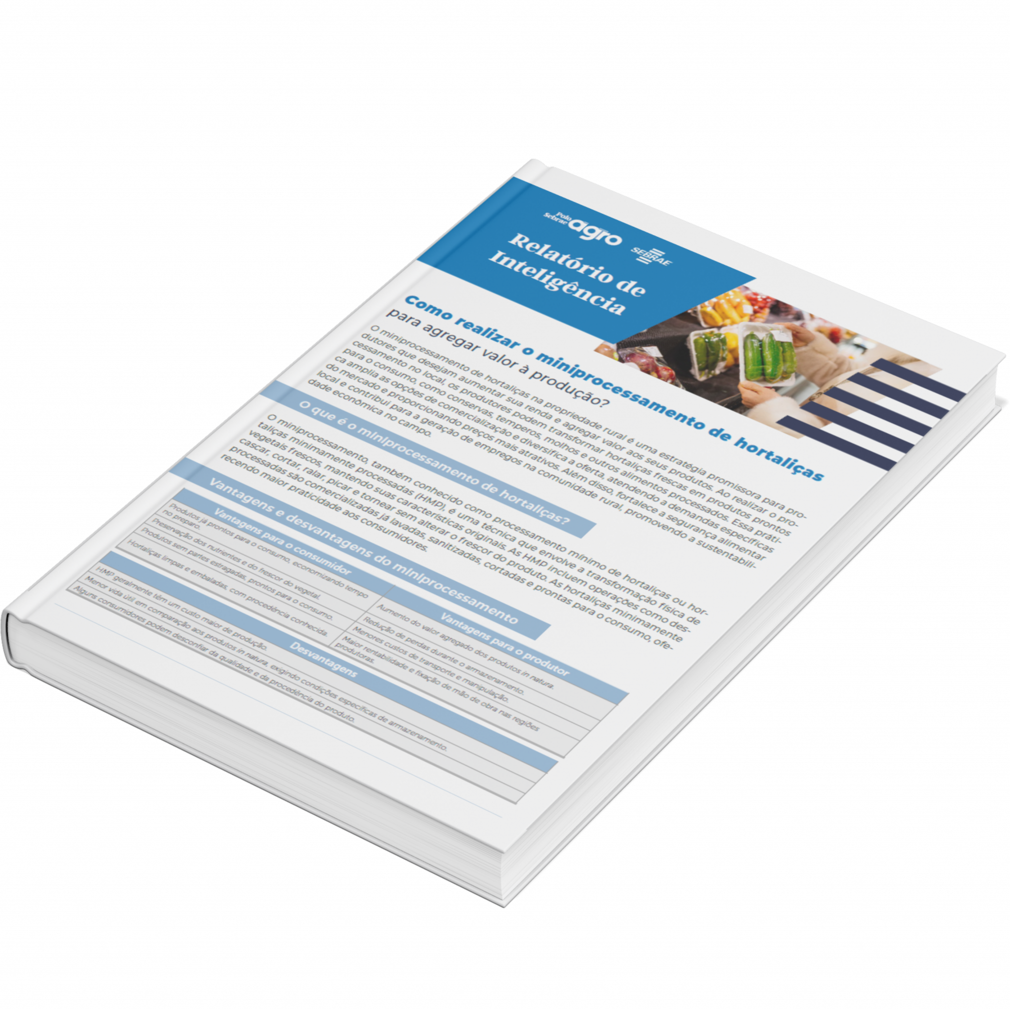 Sebrae/PR | Publicações | Design sem nome 3 4