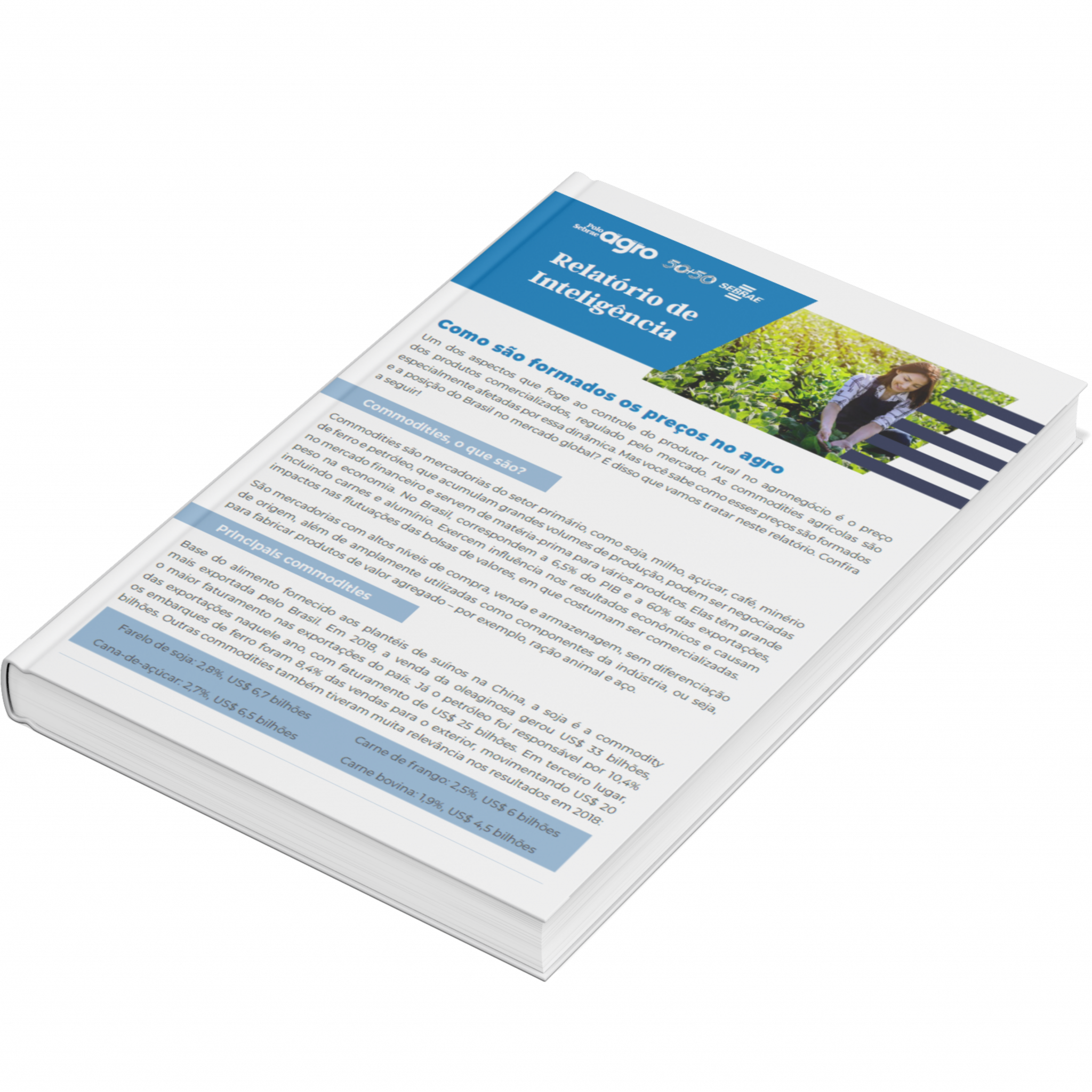 Sebrae/PR | Publicações | Design sem nome 4 5