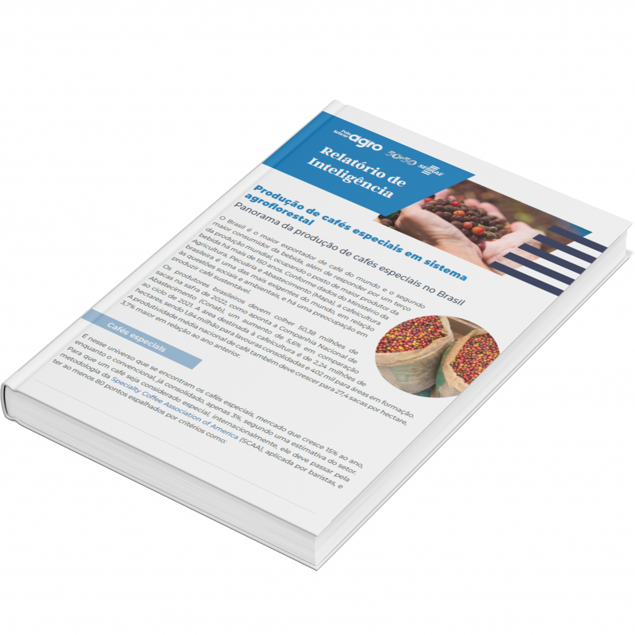 Sebrae/PR | Publicações | Design sem nome 4 6