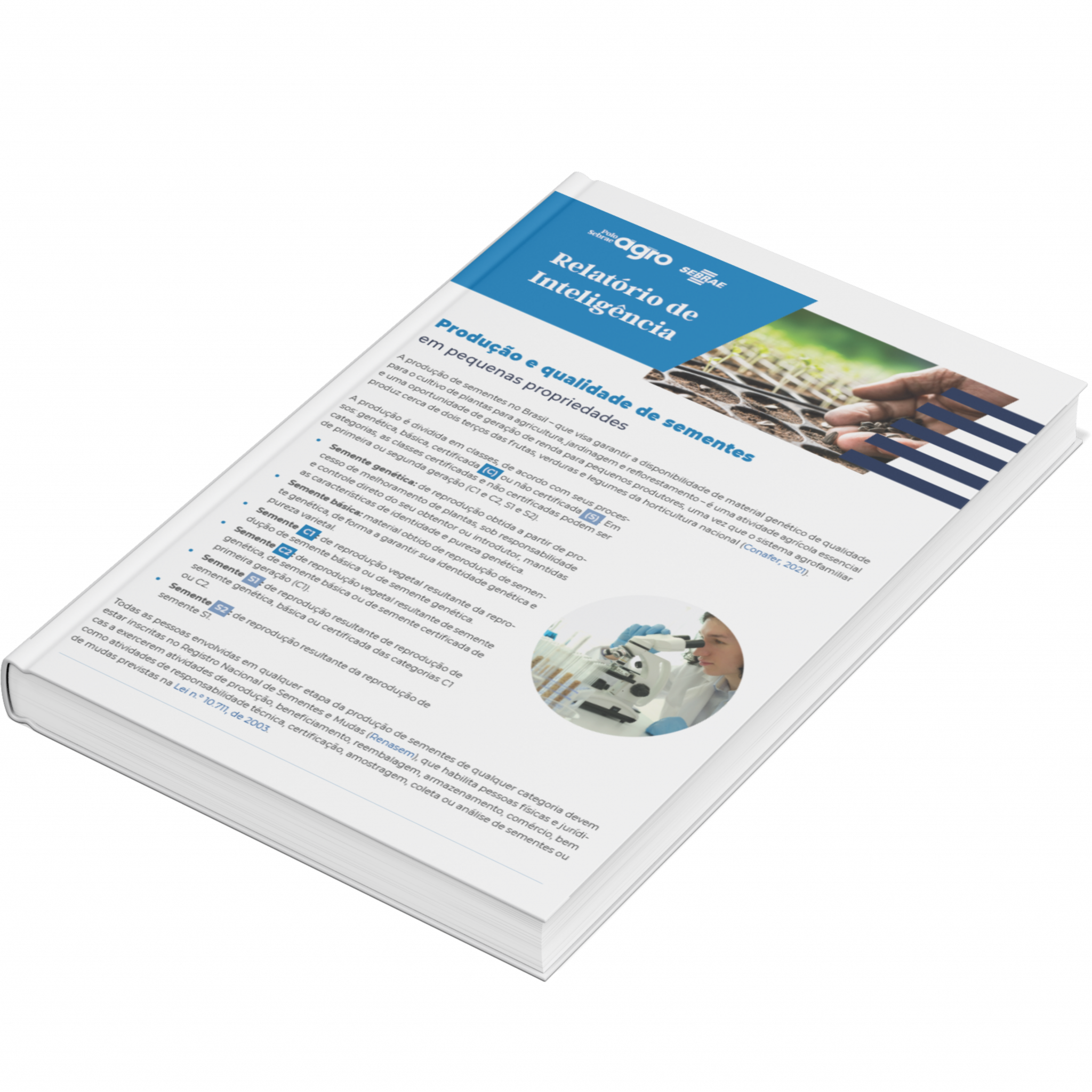 Sebrae/PR | Publicações | Design sem nome 5 3