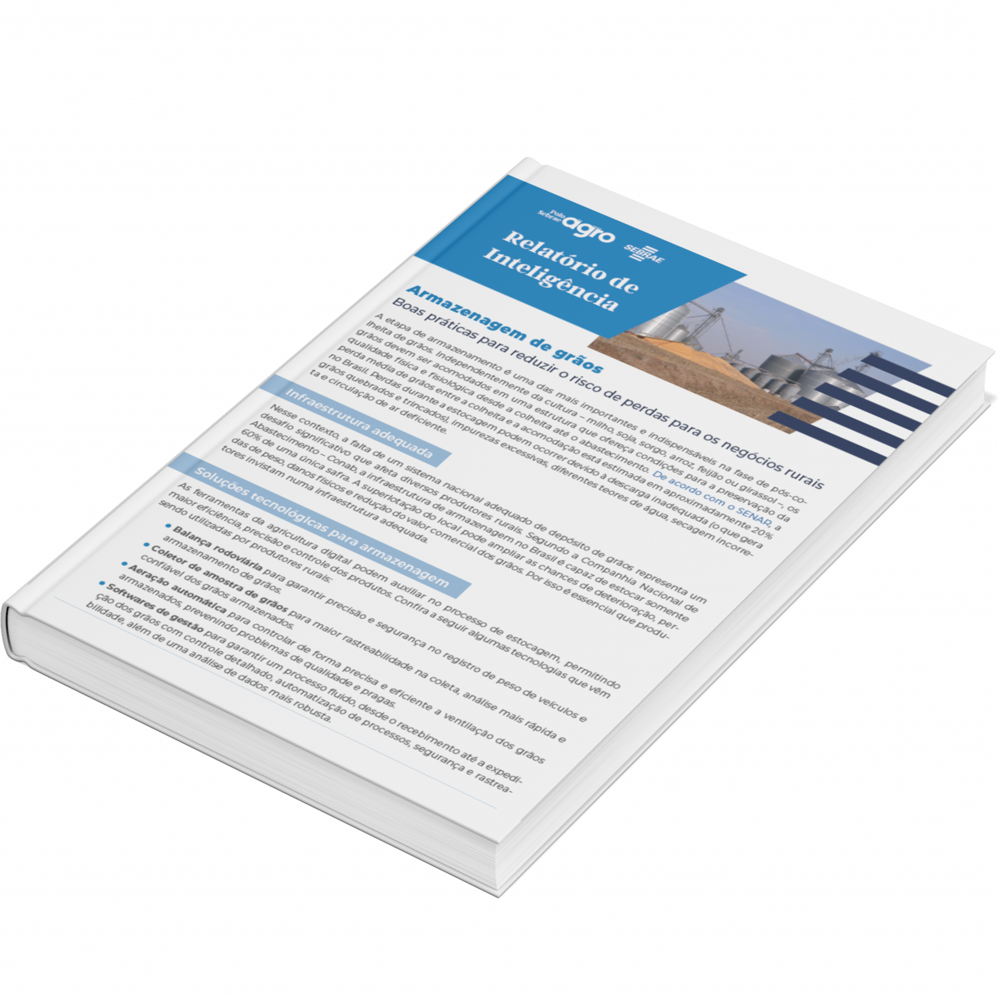 Sebrae/PR | Publicações | Design sem nome 6 2