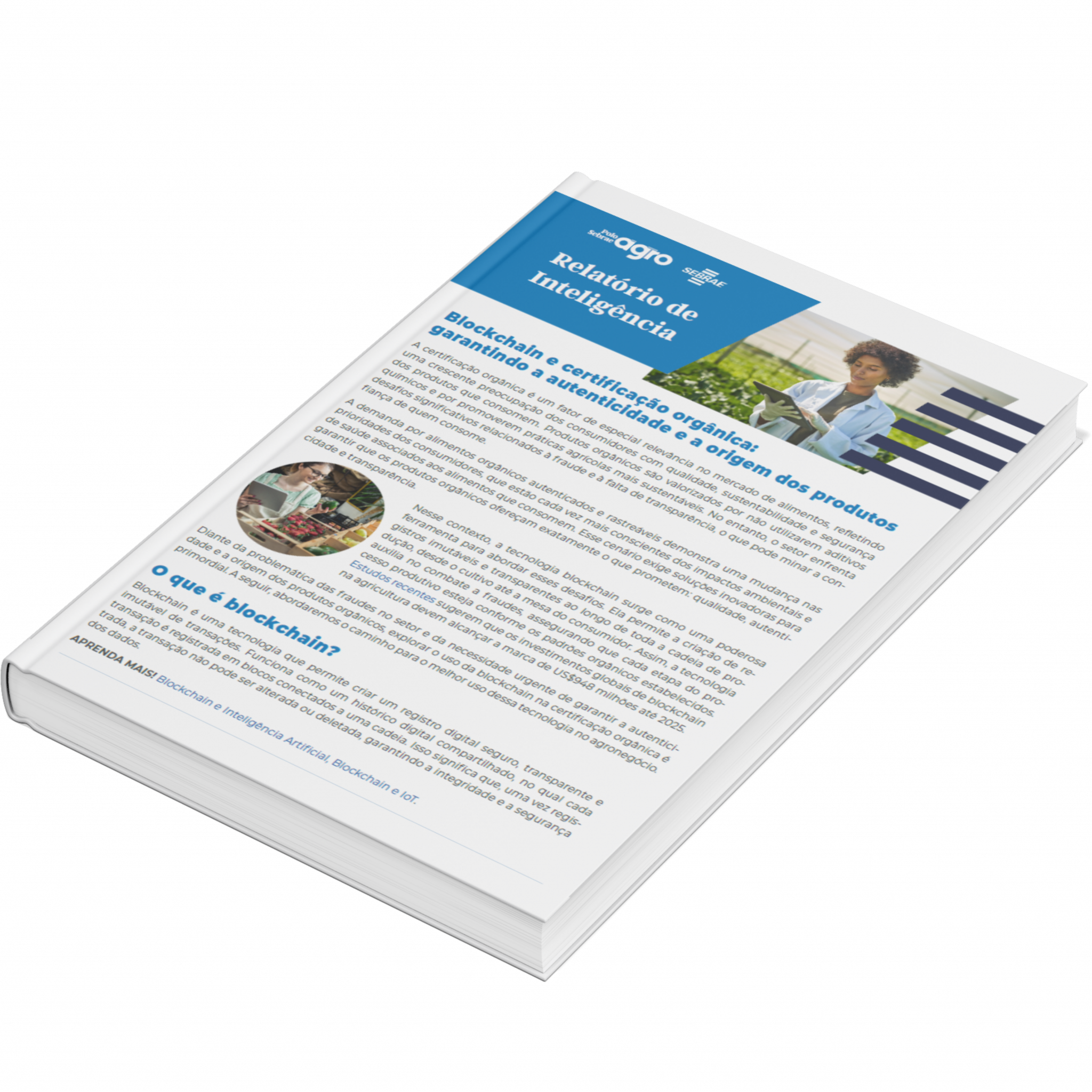 Sebrae/PR | Publicações | Design sem nome 7 2