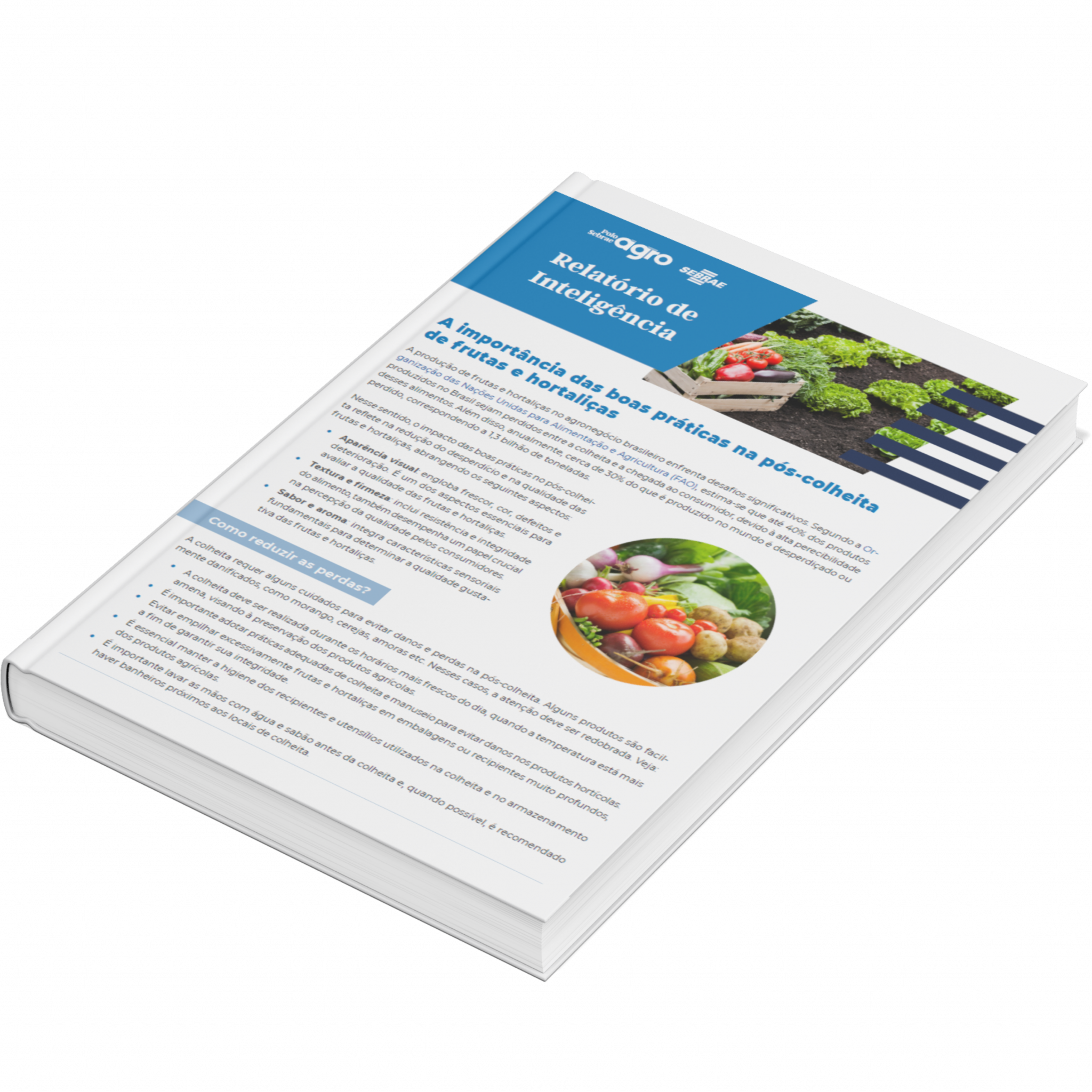 Sebrae/PR | Publicações | Design sem nome 8 2