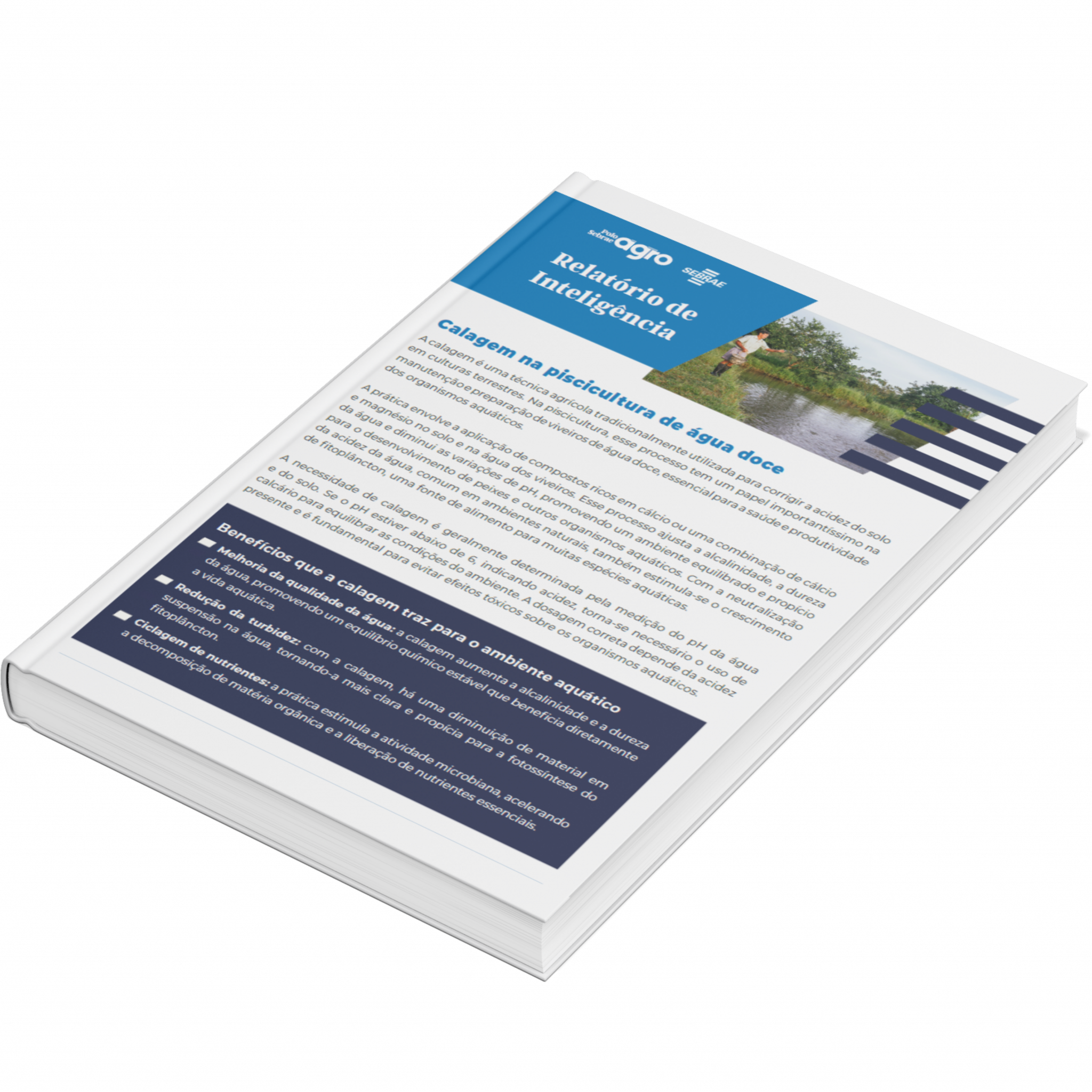 Sebrae/PR | Publicações | Design sem nome 9 1