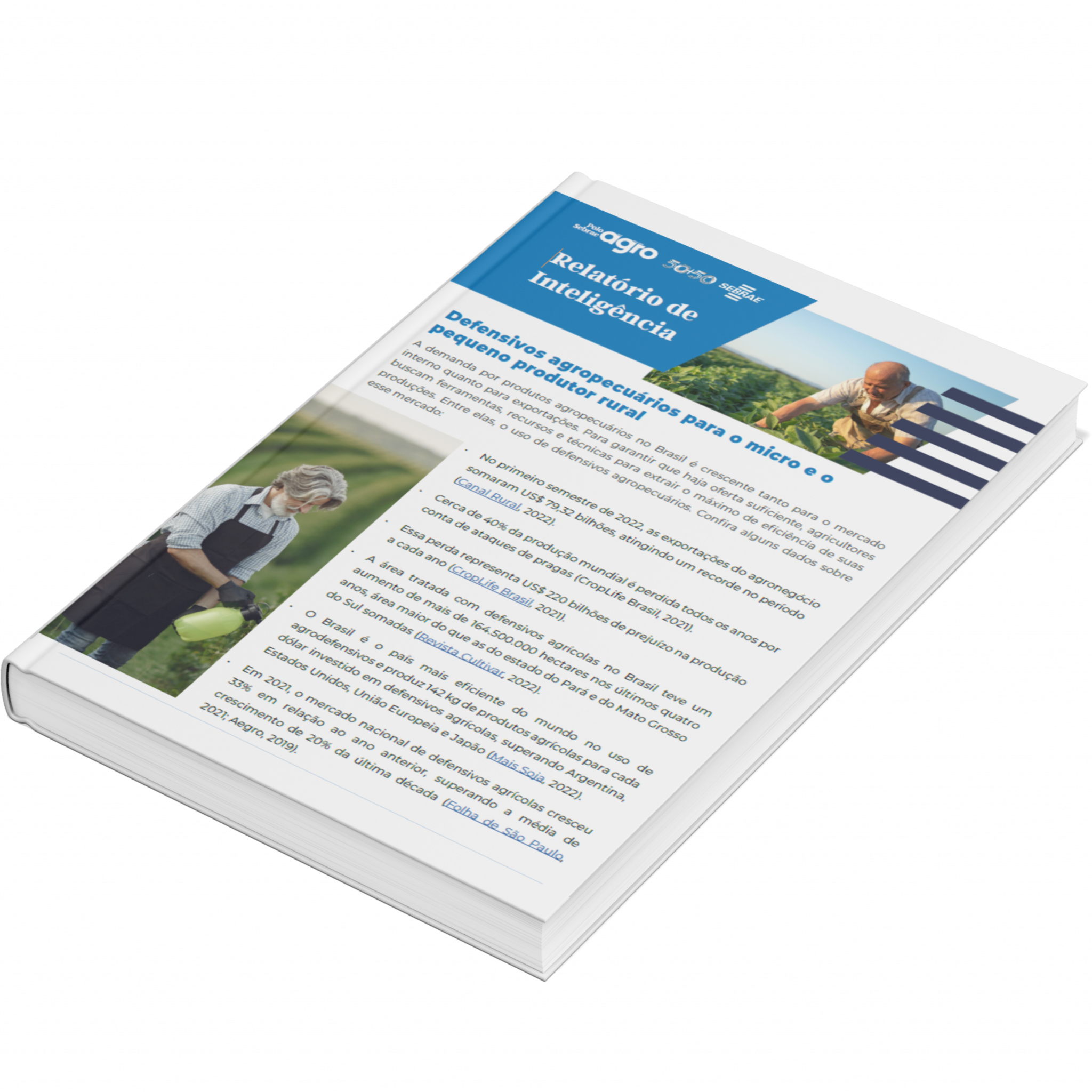 Sebrae/PR | Publicações | Design sem nome 9 2