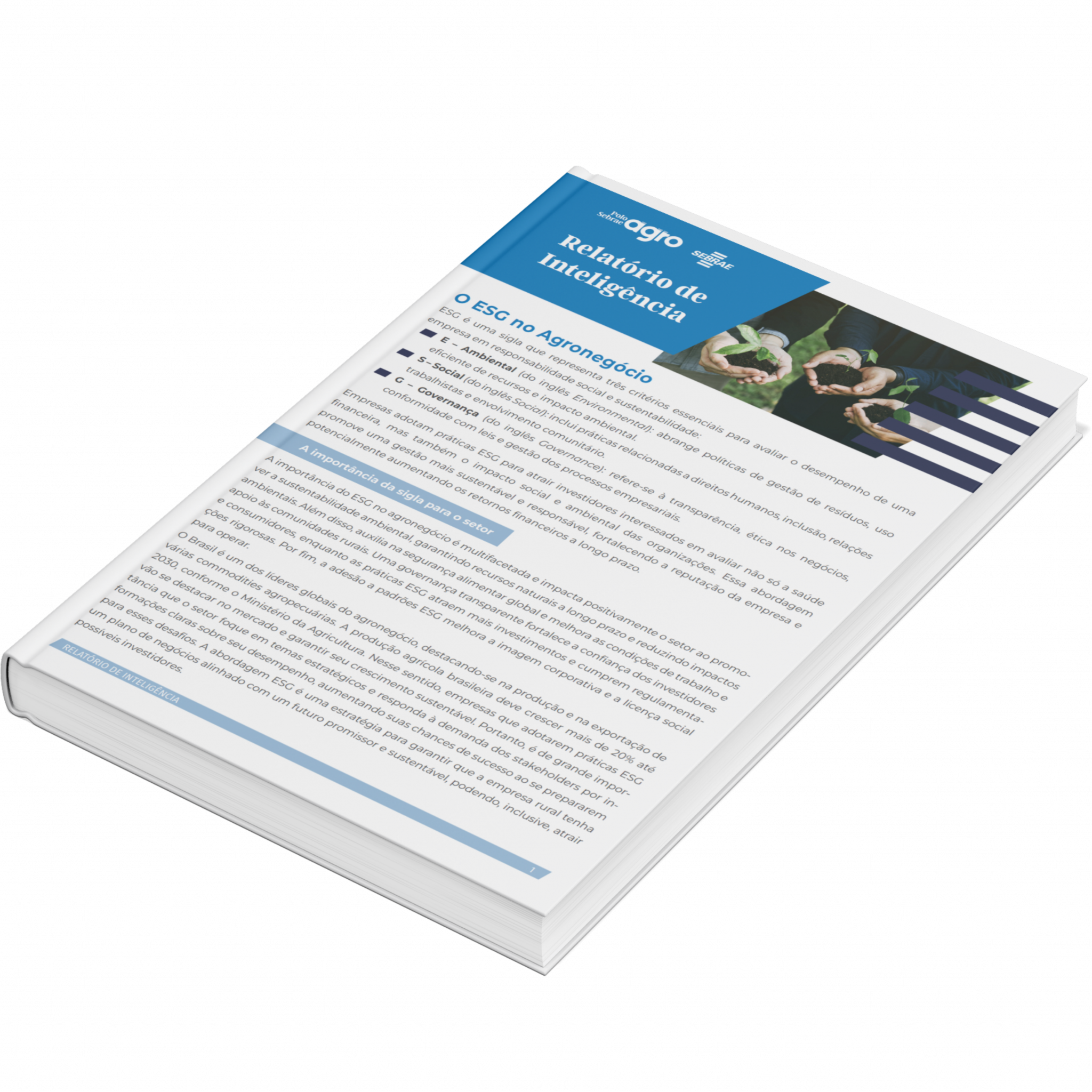 Sebrae/PR | Publicações | ESG