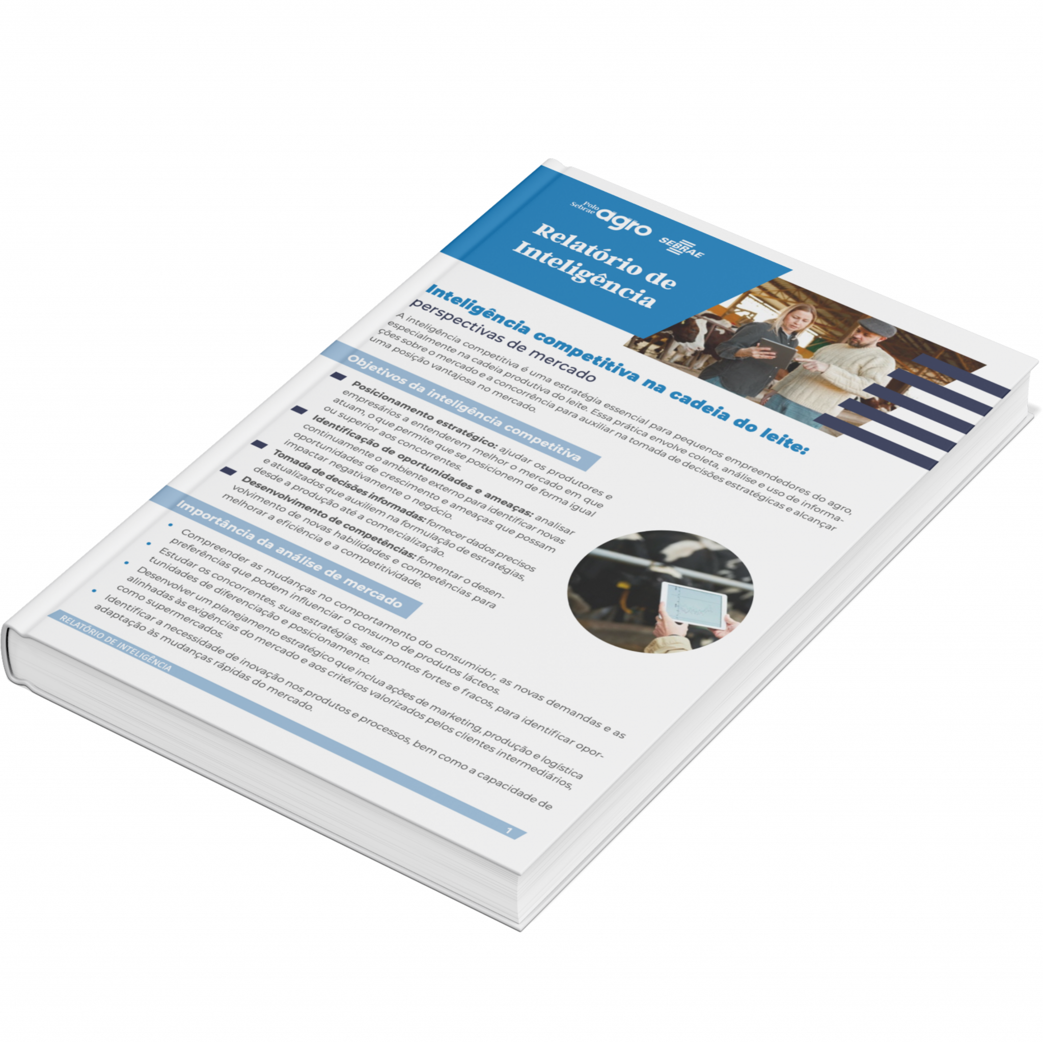 Sebrae/PR | Publicações | INT. CADEIA DO LEITE