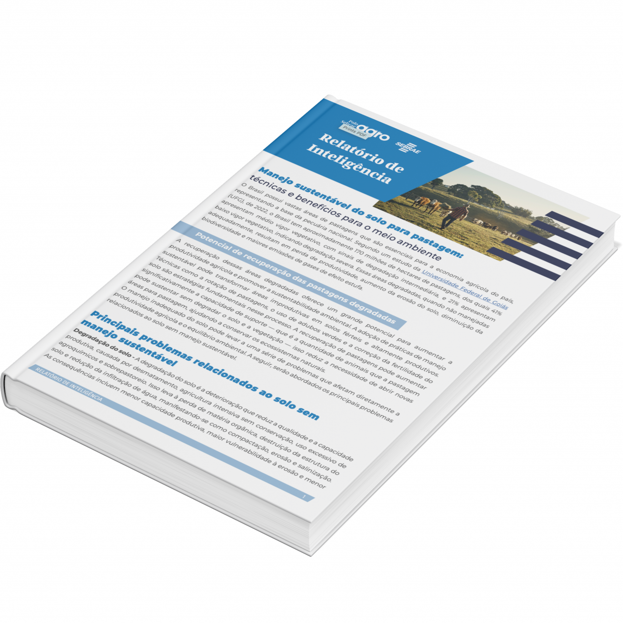 Sebrae/PR | Publicações | MANEJO DO SOLO