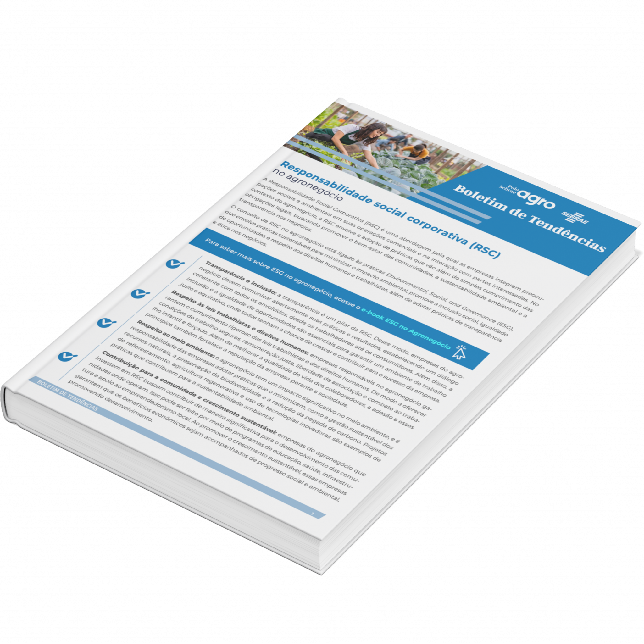 Sebrae/PR | Publicações | RSC