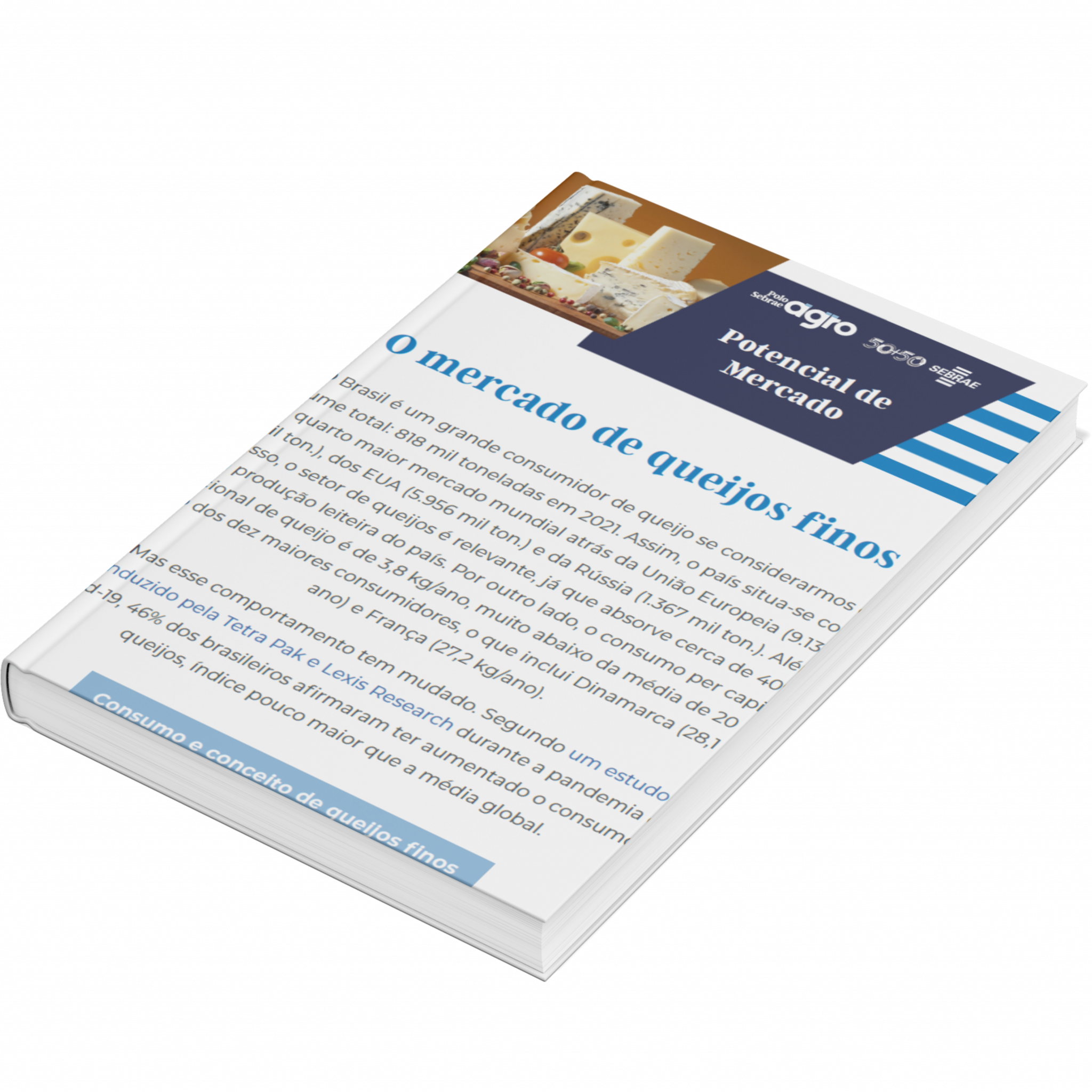 Sebrae/PR | Publicações | Design sem nome 1