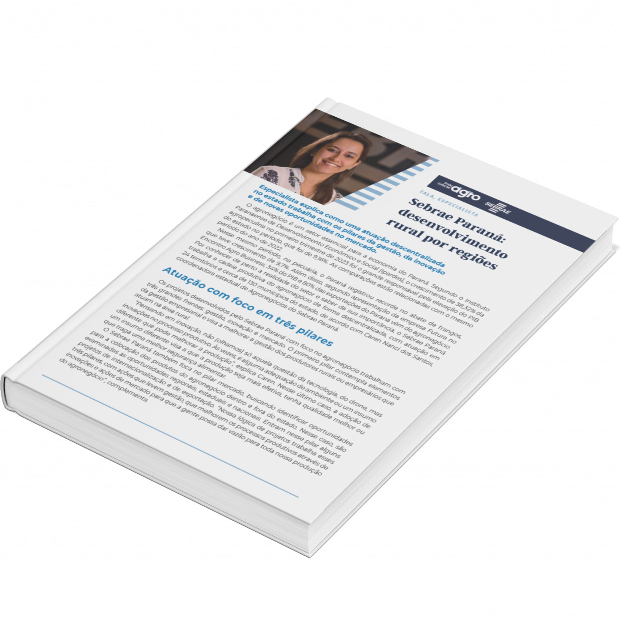 Sebrae/PR | Publicações | Design sem nome 23