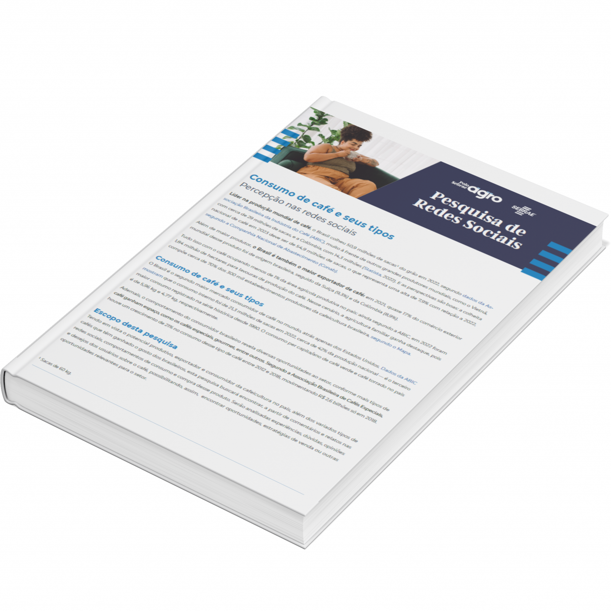 Sebrae/PR | Publicações | Design sem nome 24