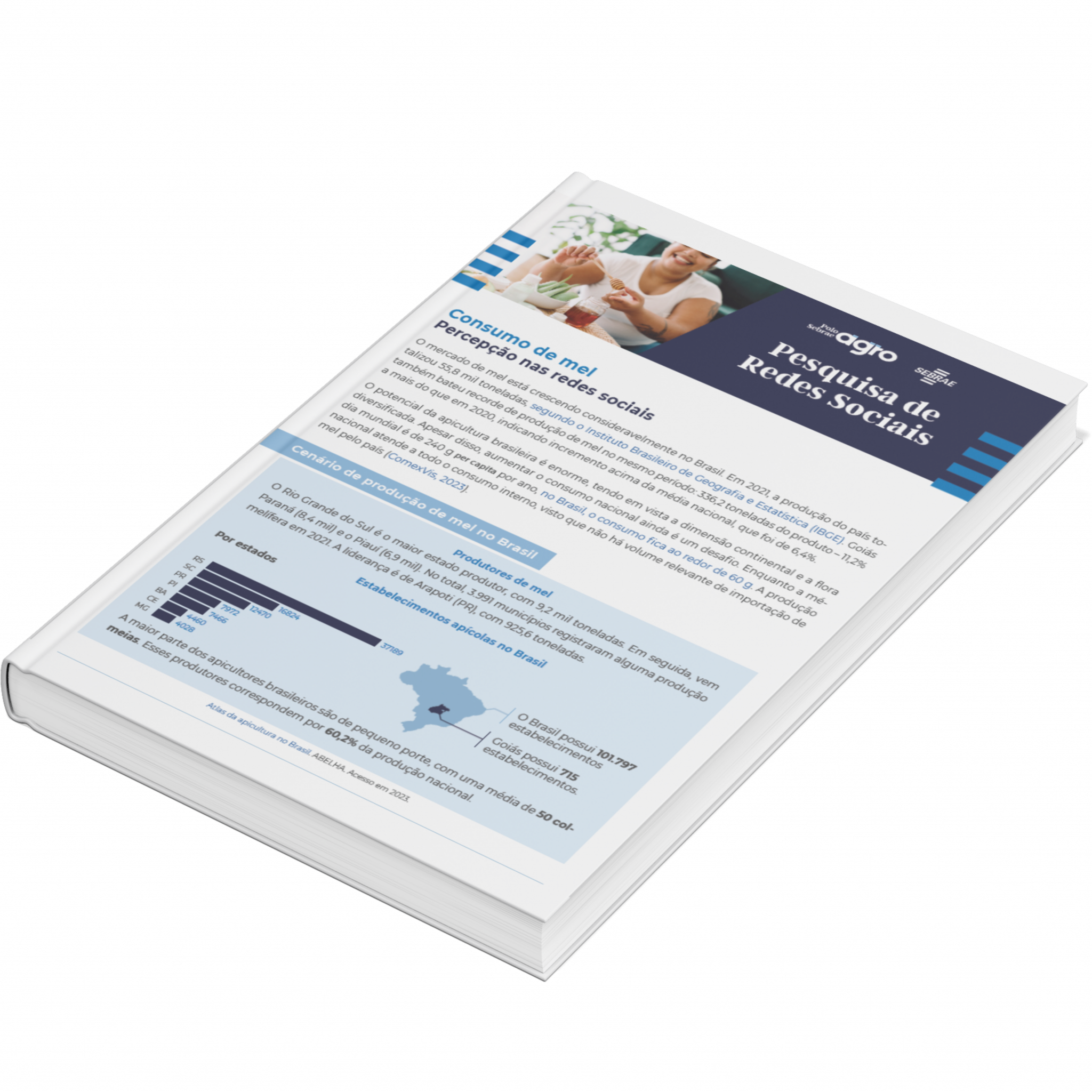 Sebrae/PR | Publicações | Design sem nome 26