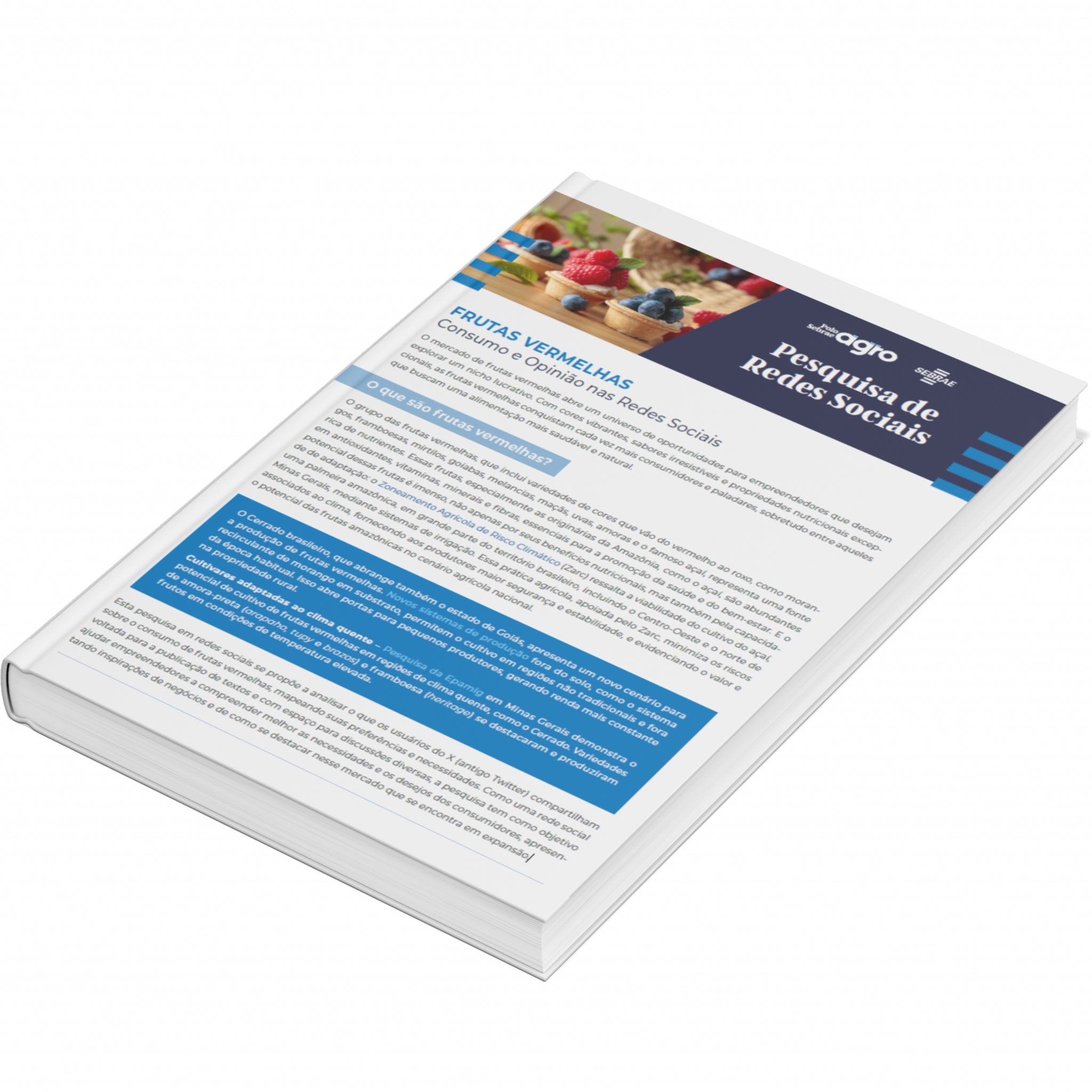 Sebrae/PR | Publicações | Design sem nome 28