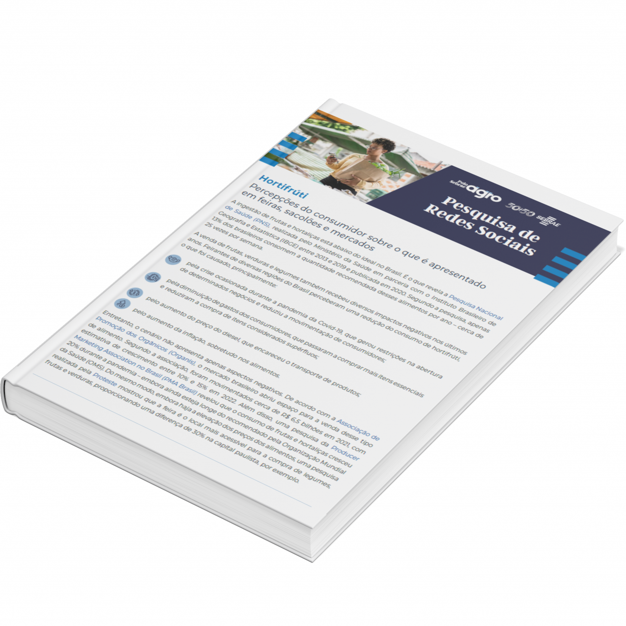 Sebrae/PR | Publicações | Design sem nome 29